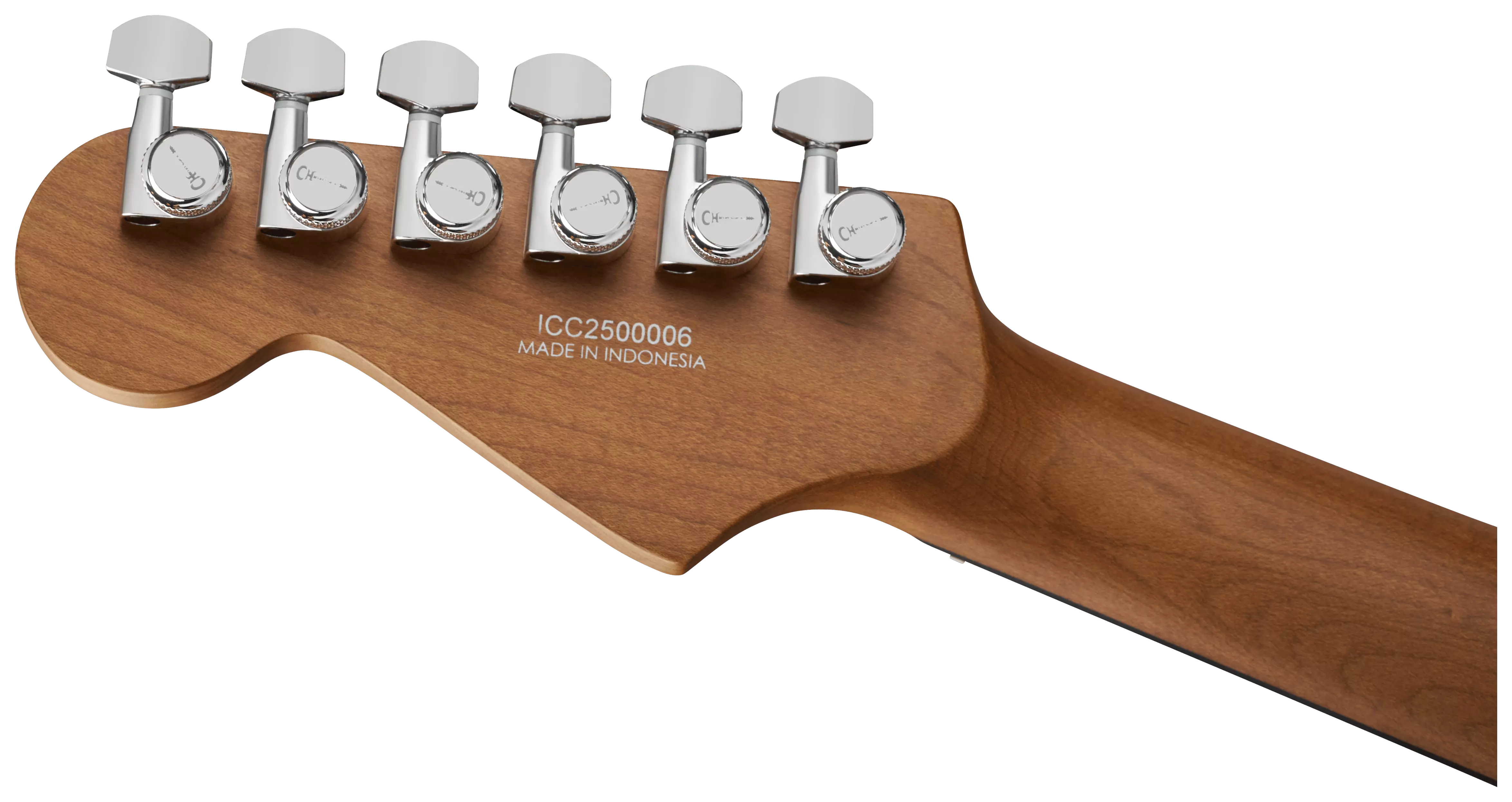 Charvel Pro Mod Plus DK24 HH 2PT EB EB Raven Black 6