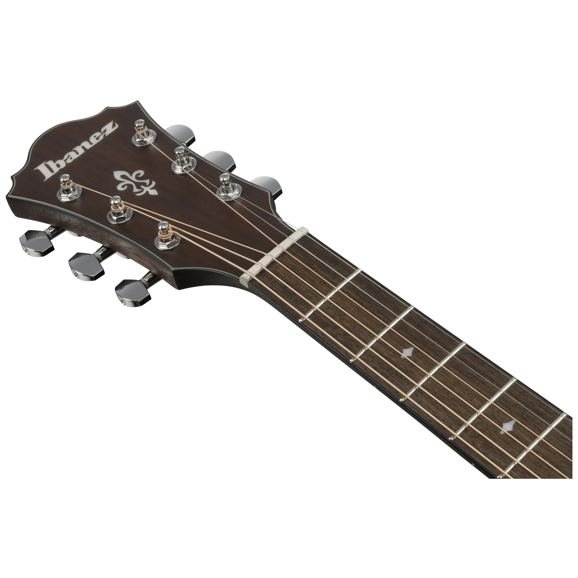 Ibanez AE140-OPN