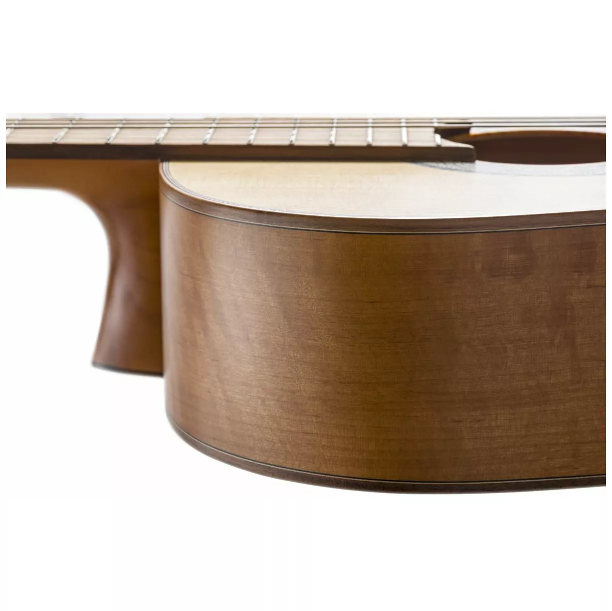 La Mancha Aliso macizo 6