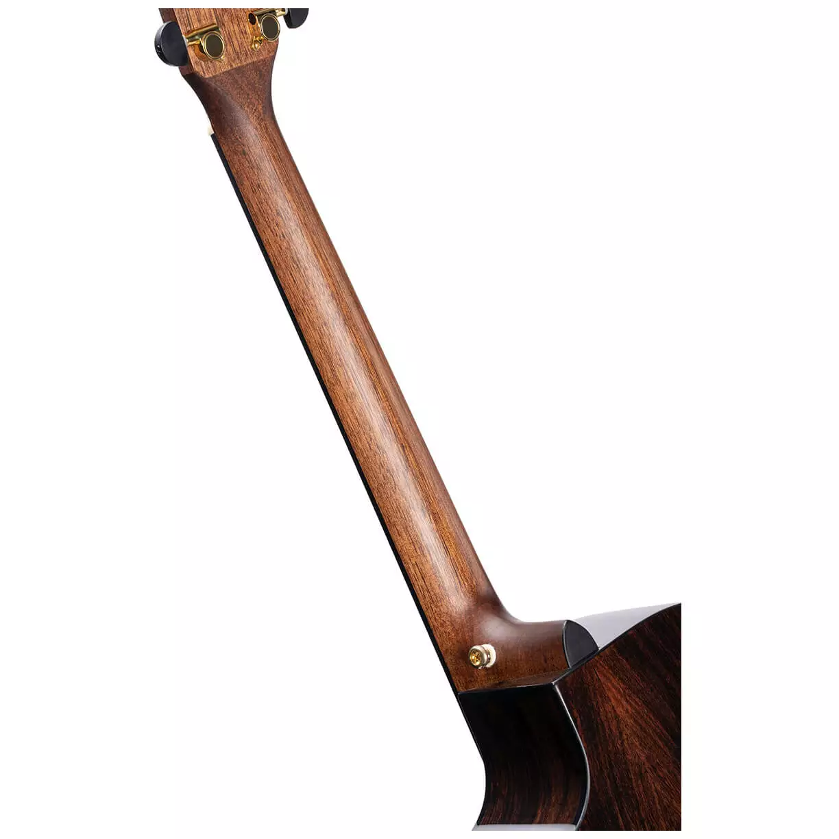 Cort GAPF-BV Natural 7