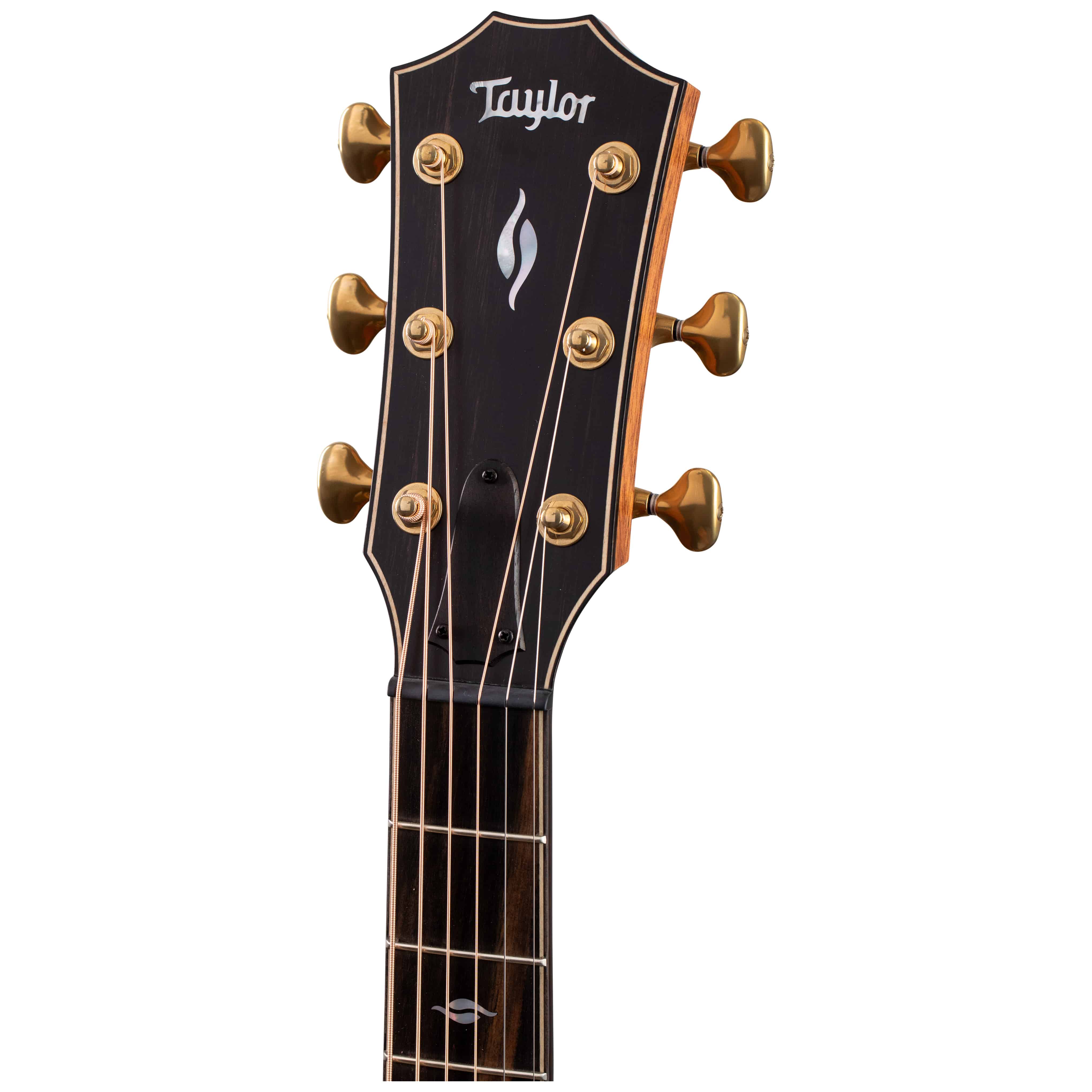 Taylor Builder’s Edition 816ce 5