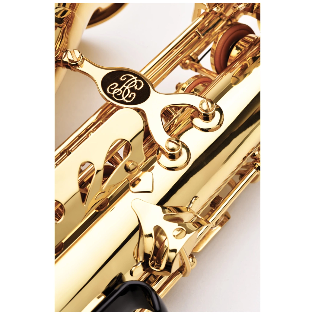 Buffet Crampon BC8301-1-0GB Prodige Alto Sax 2