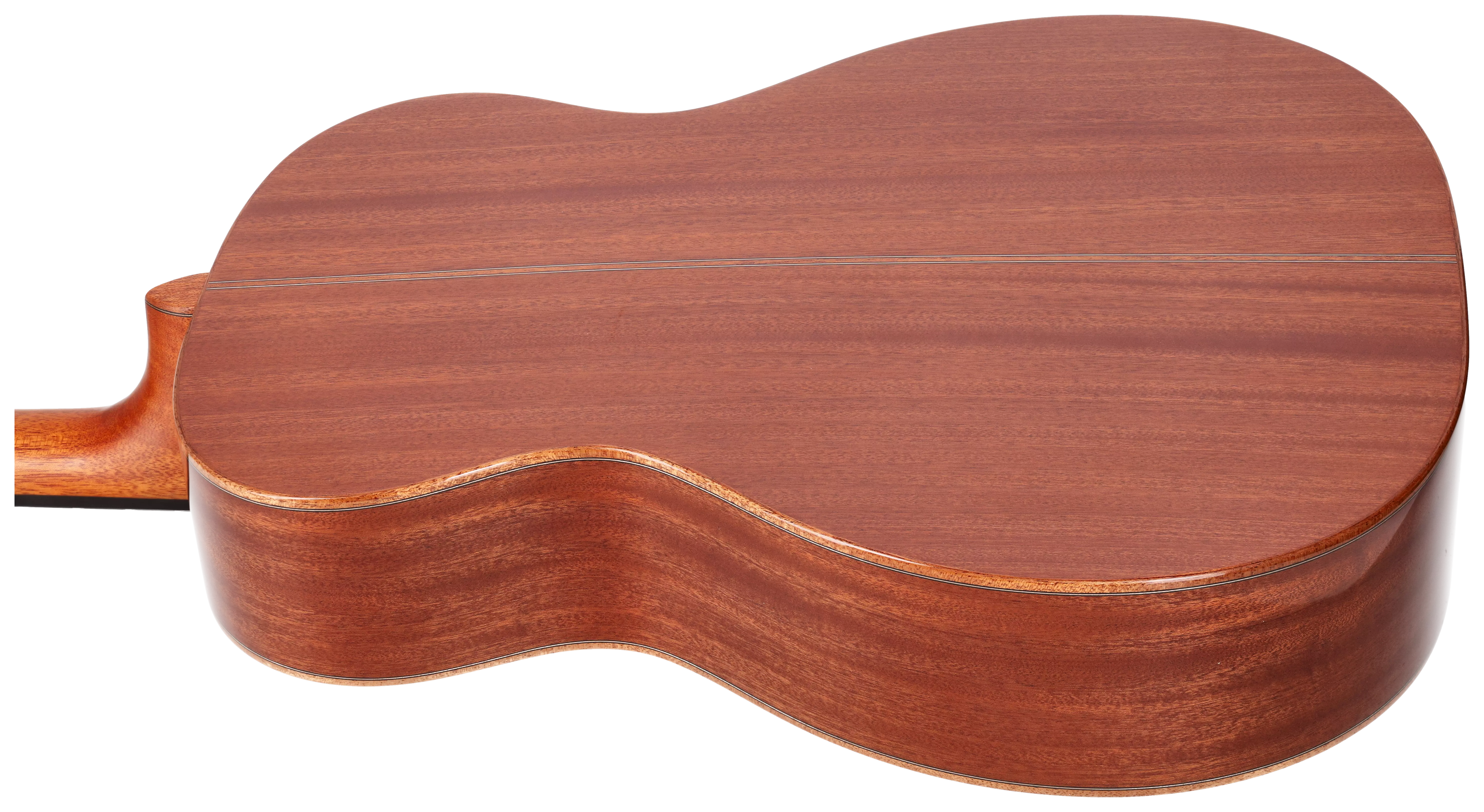 Duke Guitars A-MC 10