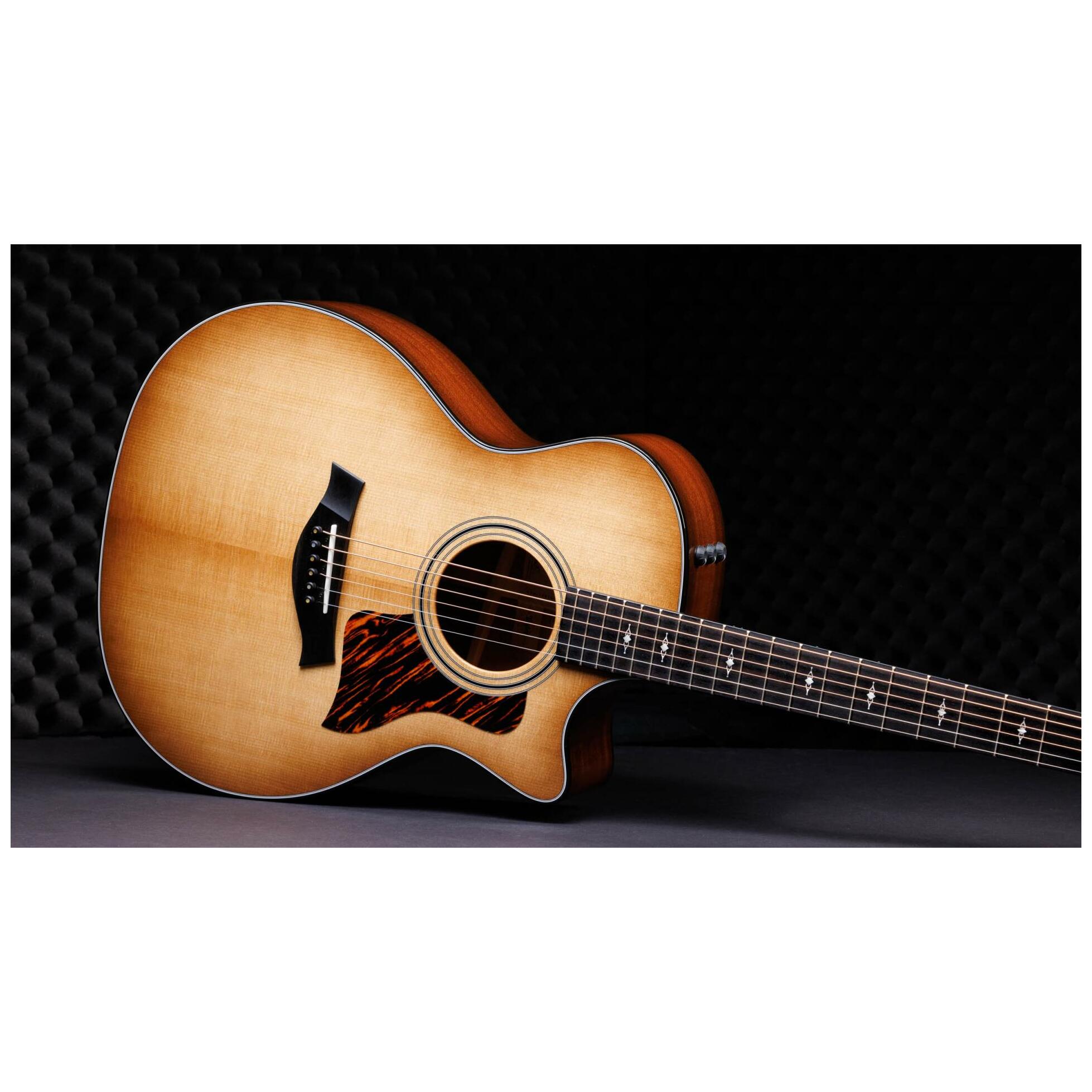 Taylor 314ce 50th Anniversary 3