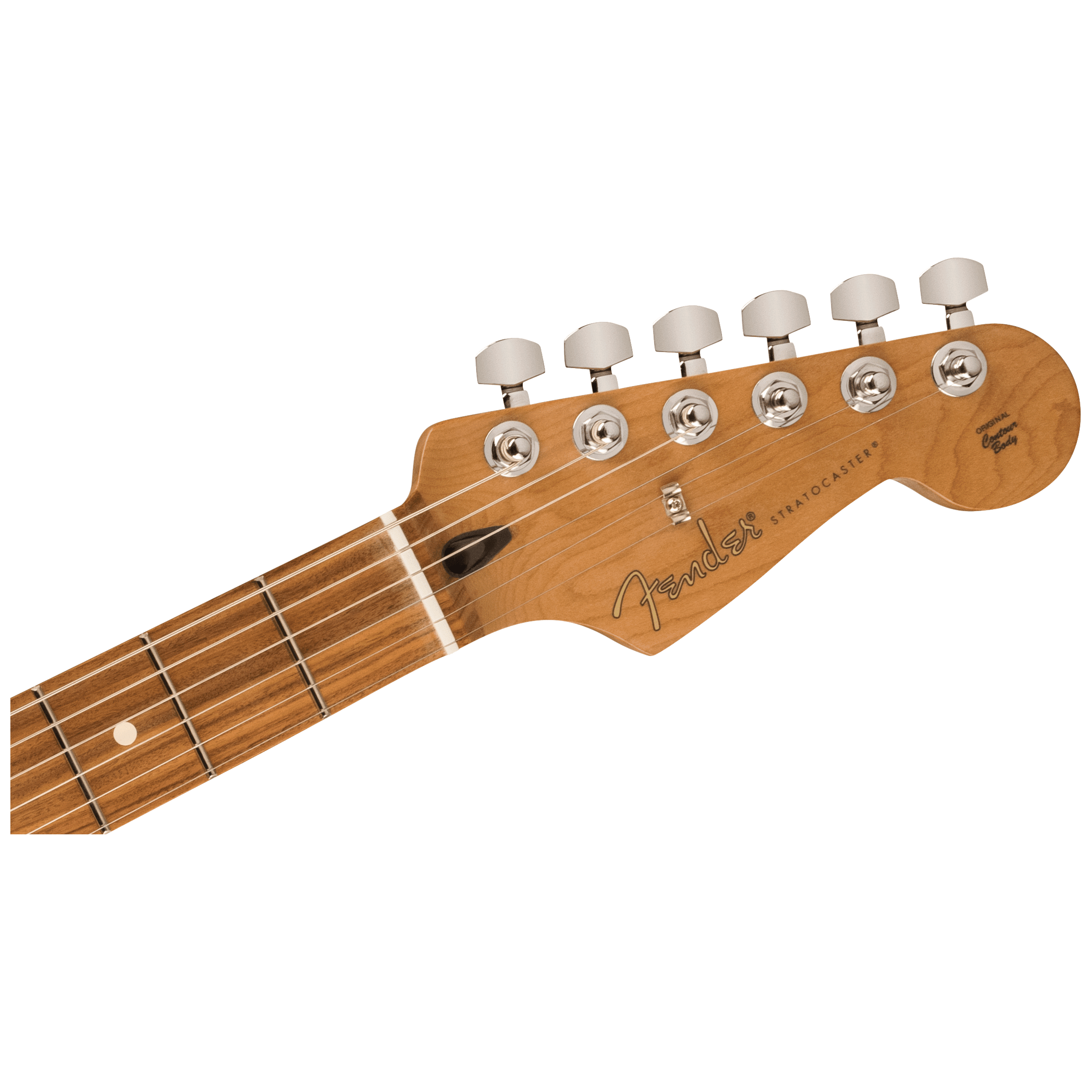 Fender LTD Player Stratocaster PF RST MN BLK 6