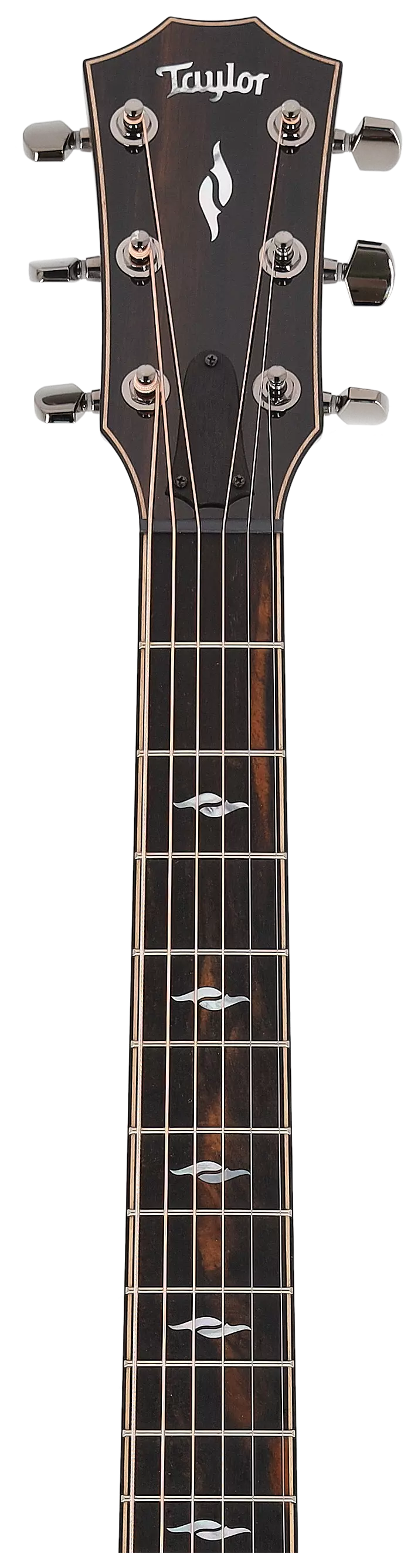 Taylor 812ce Next Generation 11