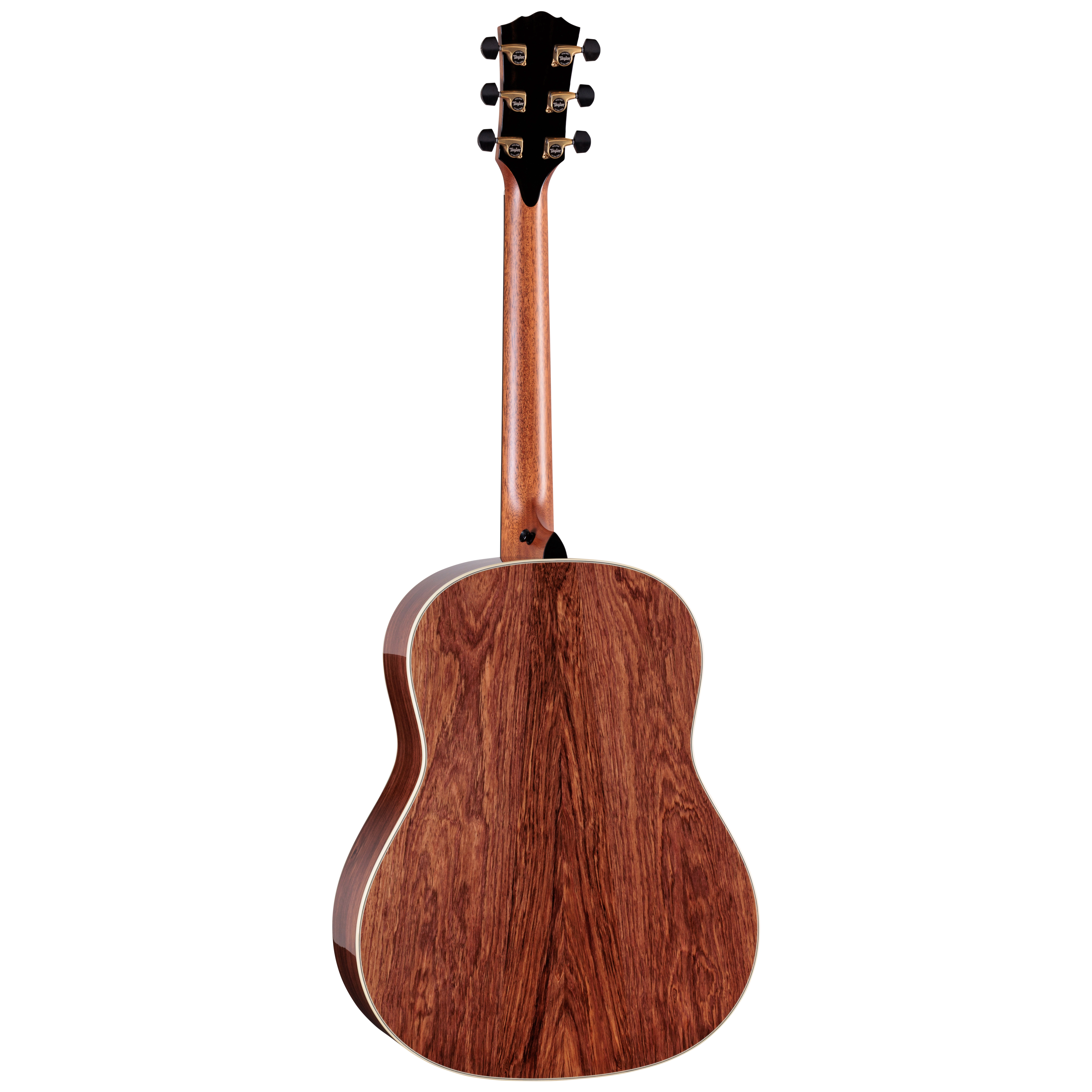 Taylor Gold Label 917e Natural