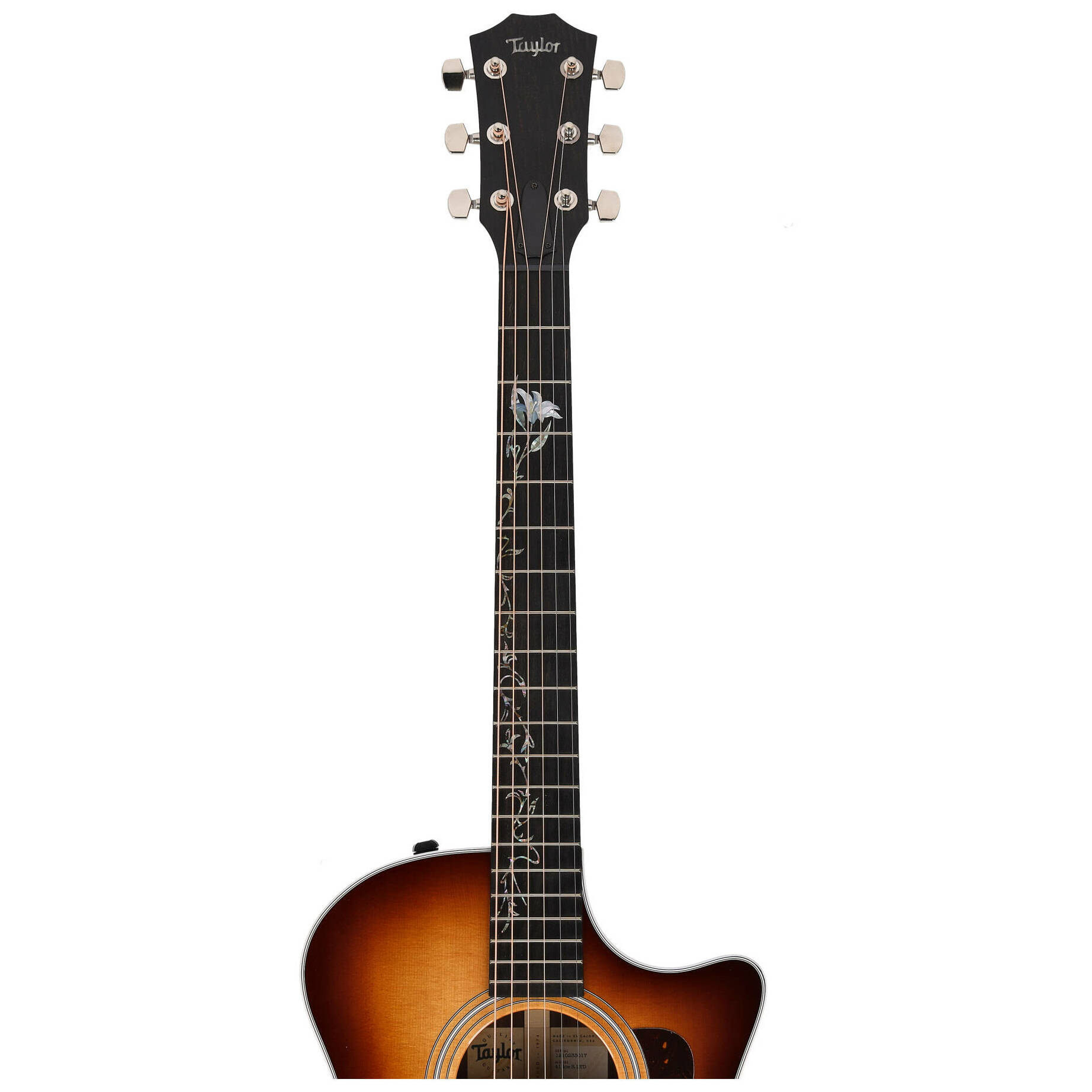 Taylor 414ce-R LTD - Lily Vine Inlay SEB 13