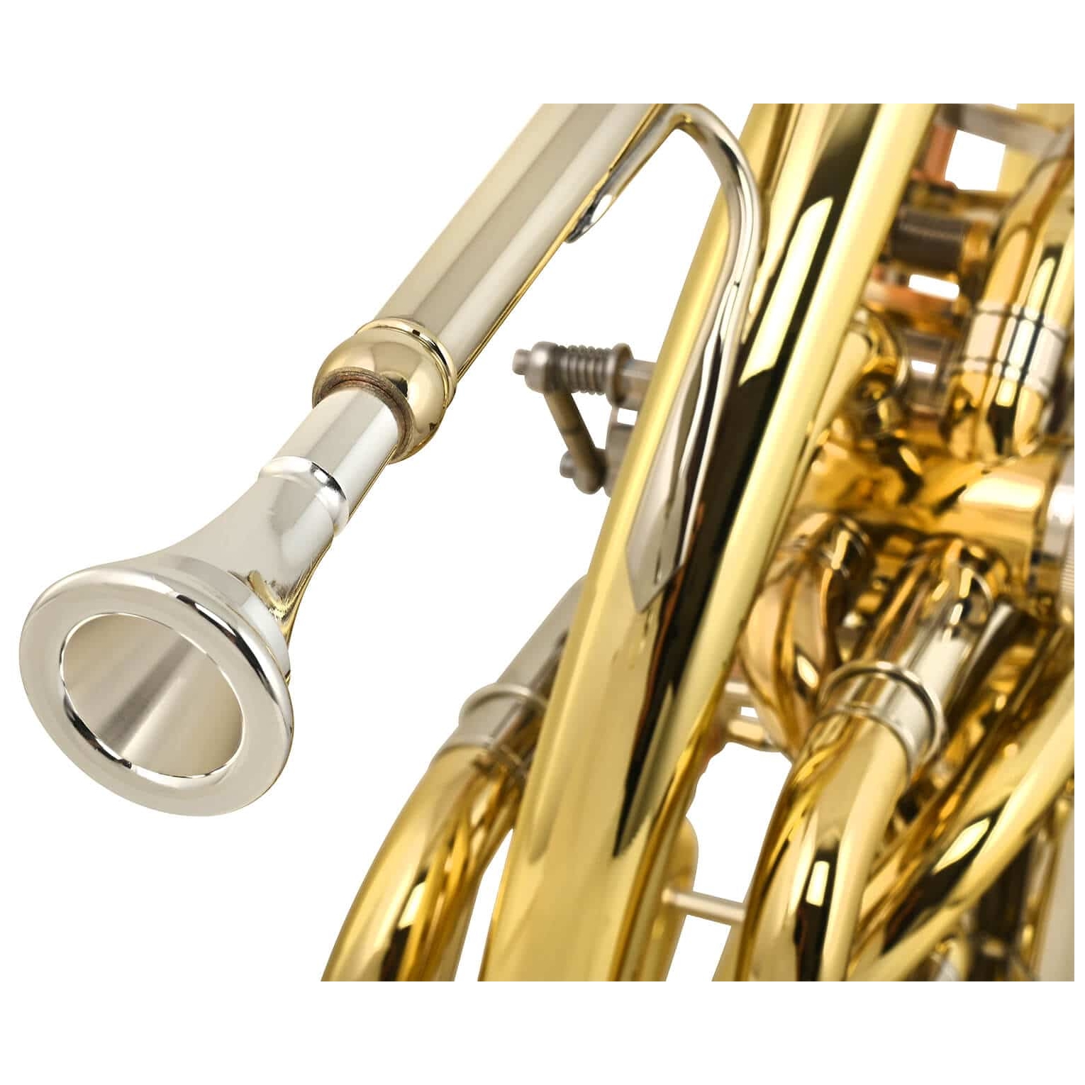 Chicago Winds - Chicago Winds CC-HR5200L Doppelwaldhorn - 5