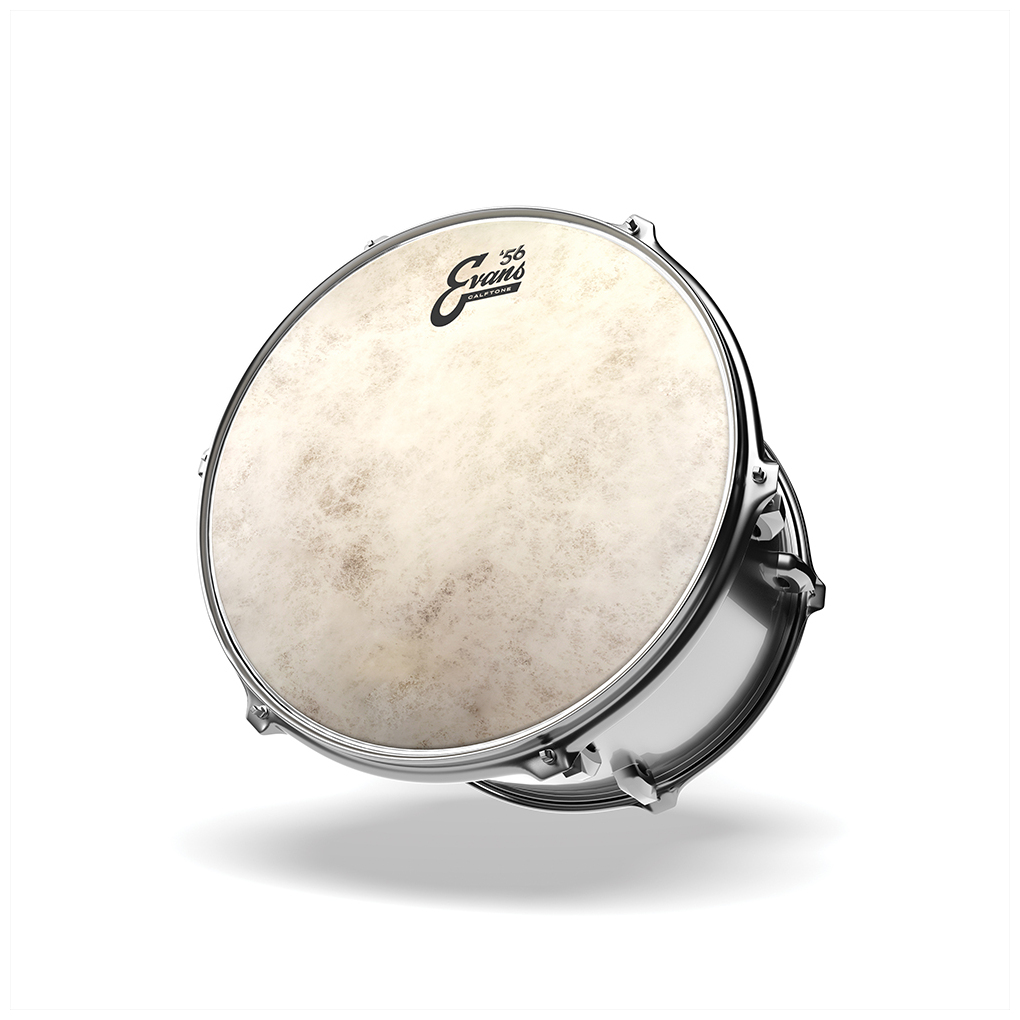 Evans TT16C7 - Calftone Tom Batter, 16 Zoll 2