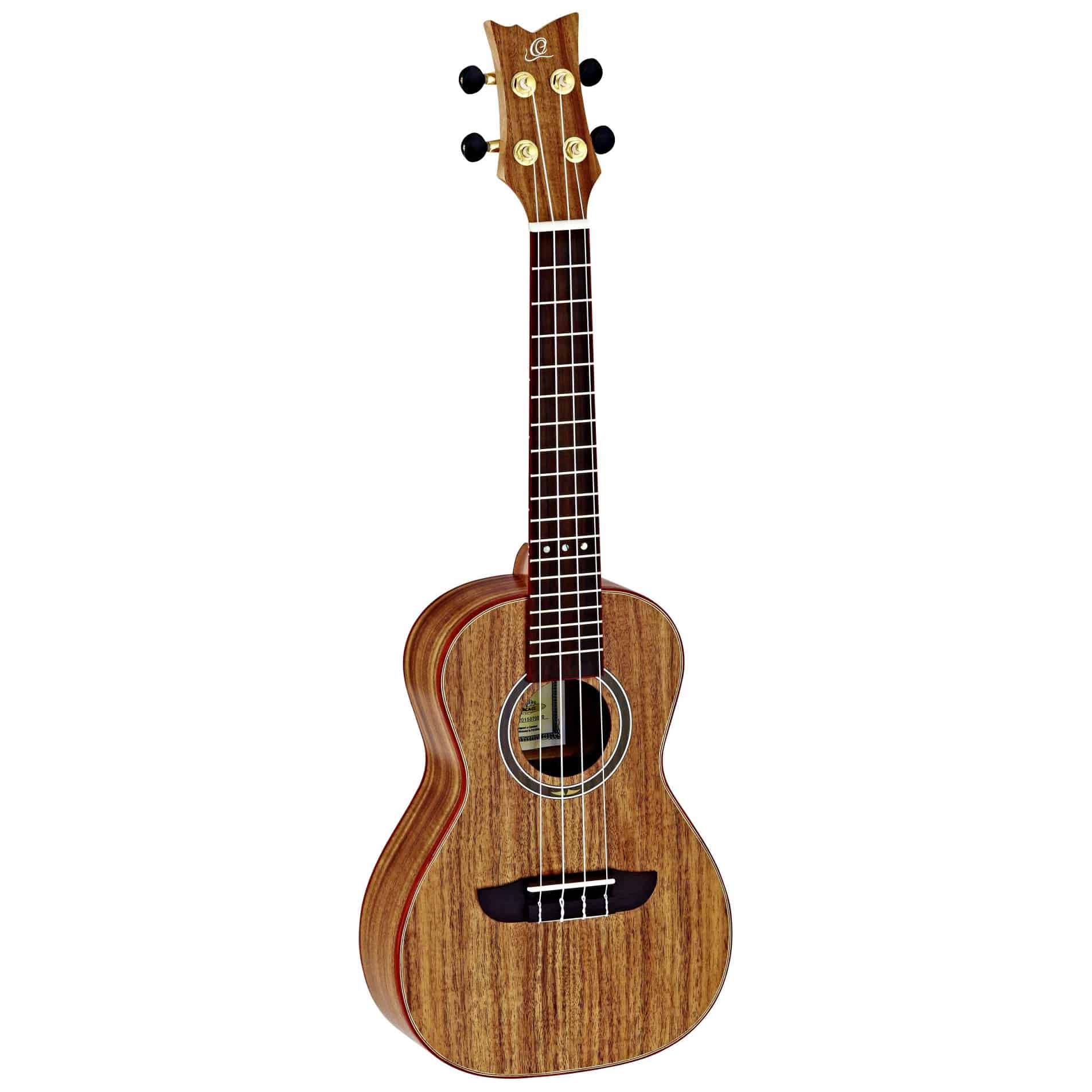 Ortega - Ortega RUACA-CC