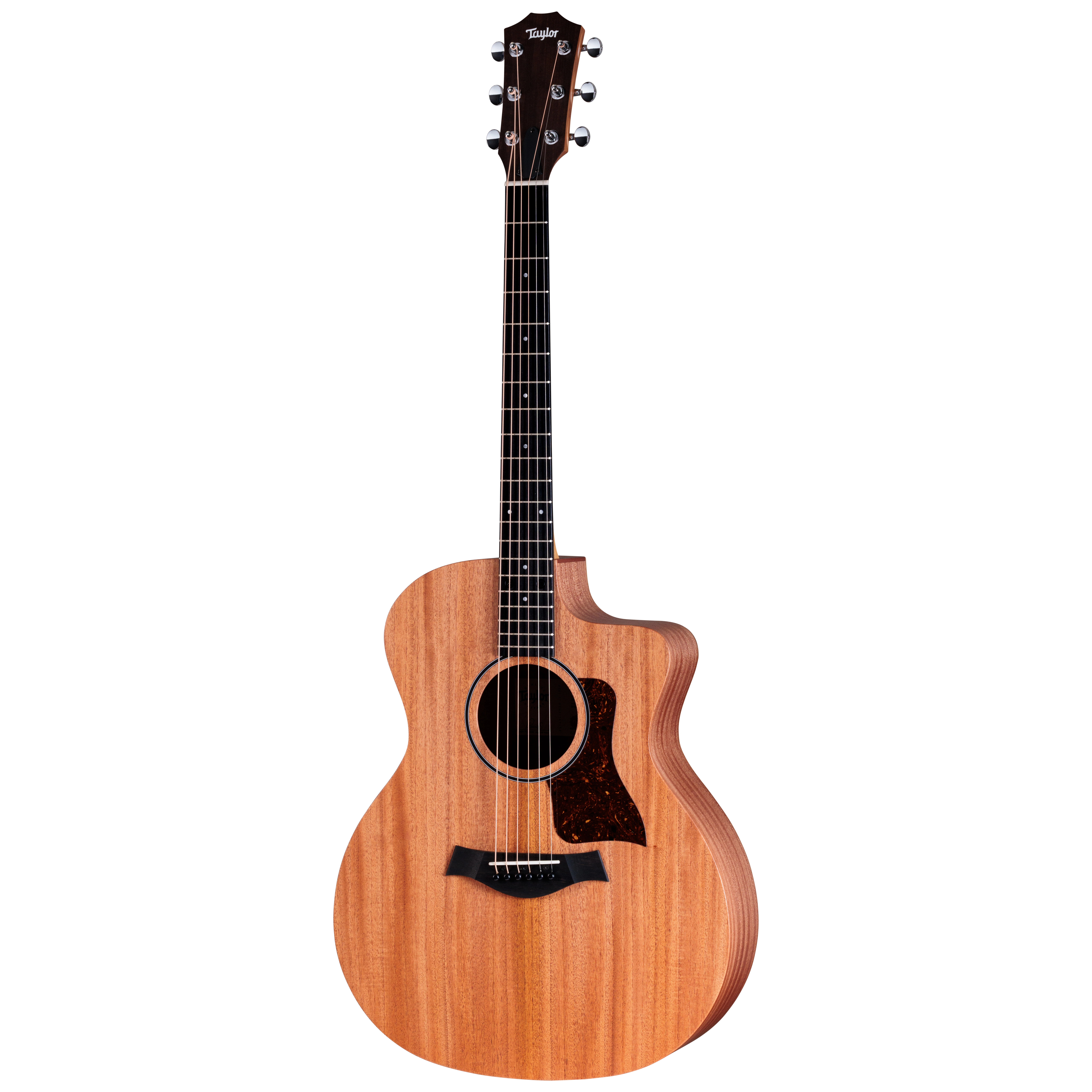 Taylor 24ce 2