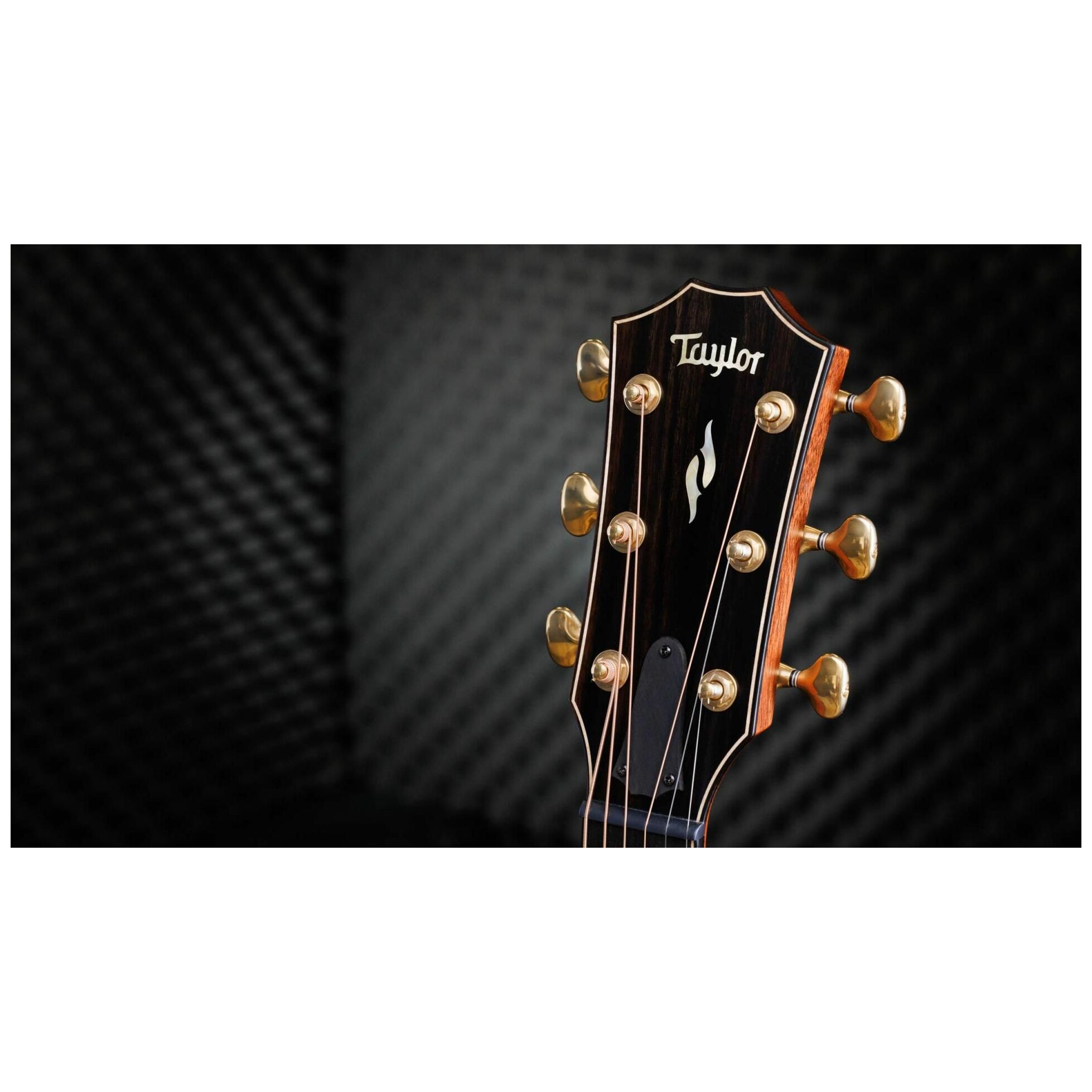 Taylor Builder's Edition 814ce 50th Anniversary 8