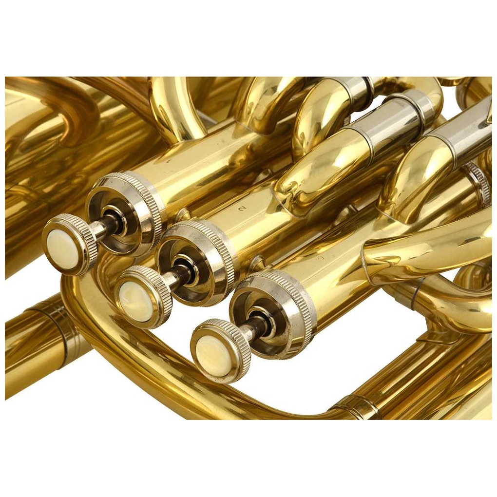 Chicago Winds - Chicago Winds CC-EP6100L Euphonium - 3