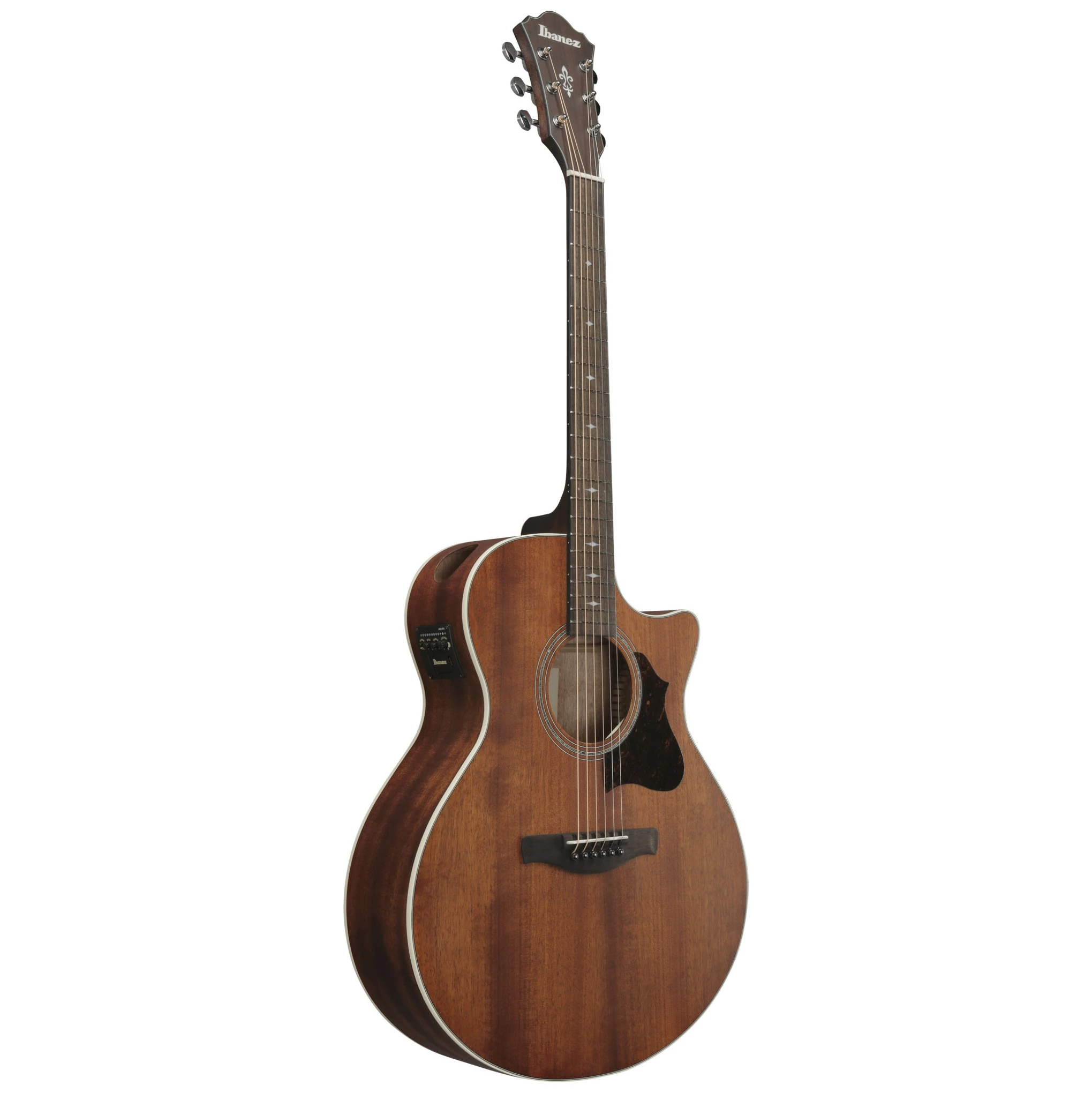 Ibanez AE140-OPN 2
