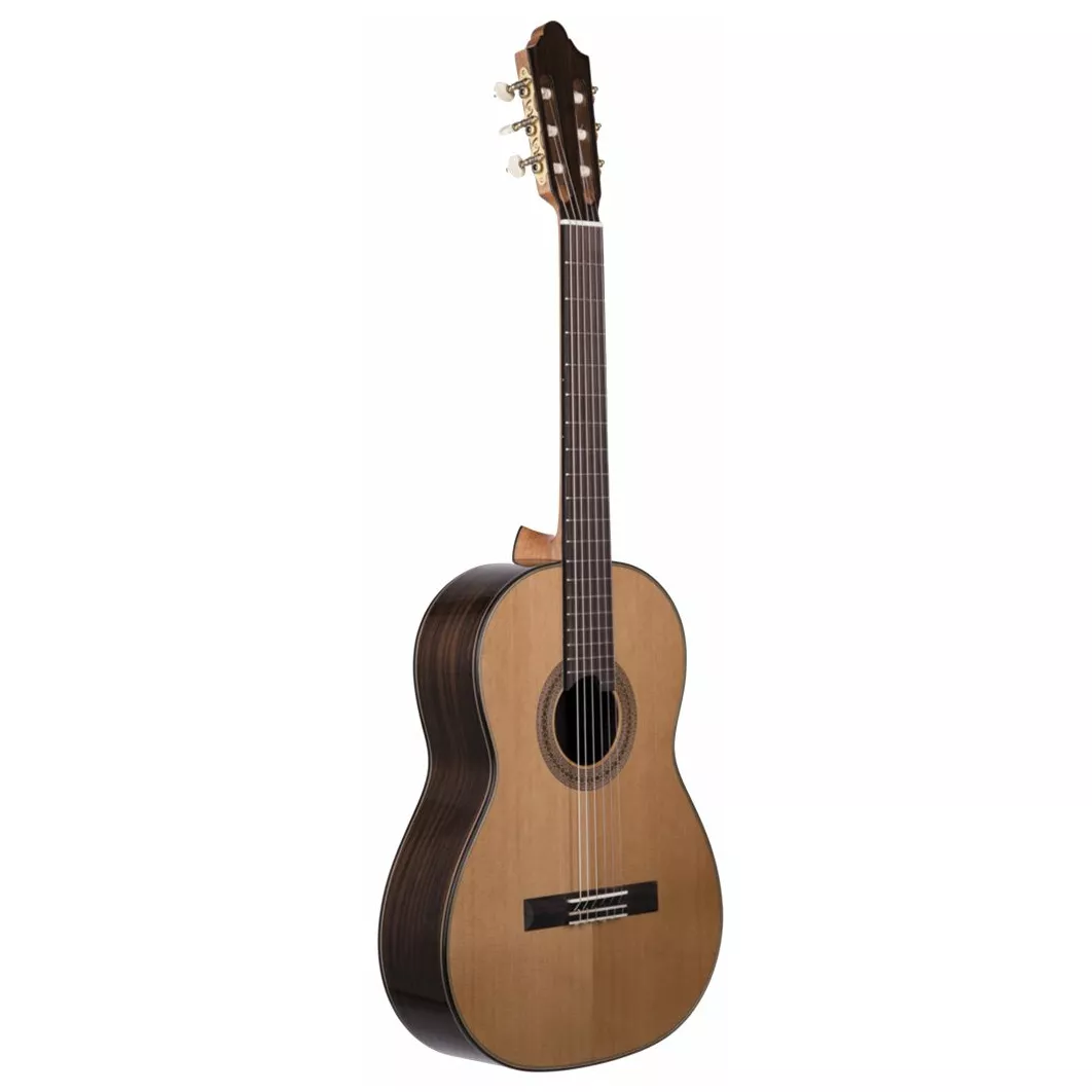 Duke Guitars Student C 63/50