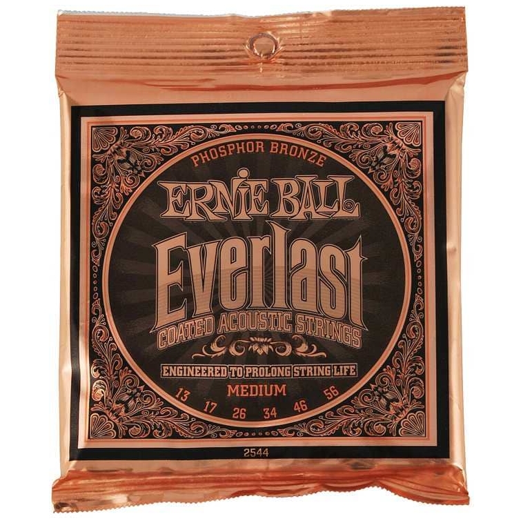 Ernie Ball 2544 Everlast Phosphor Bronze Medium | 013-056