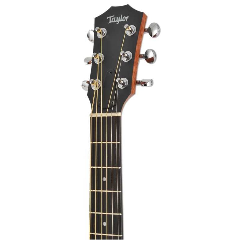 Taylor - Taylor GS Mini Mahagoni - 3