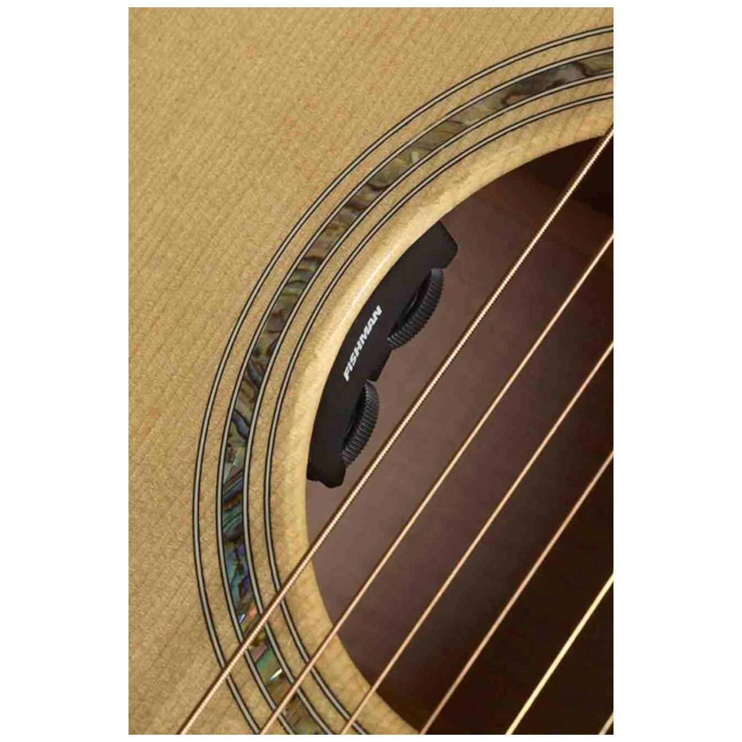 Eastman - Eastman AC222CE OV - 2