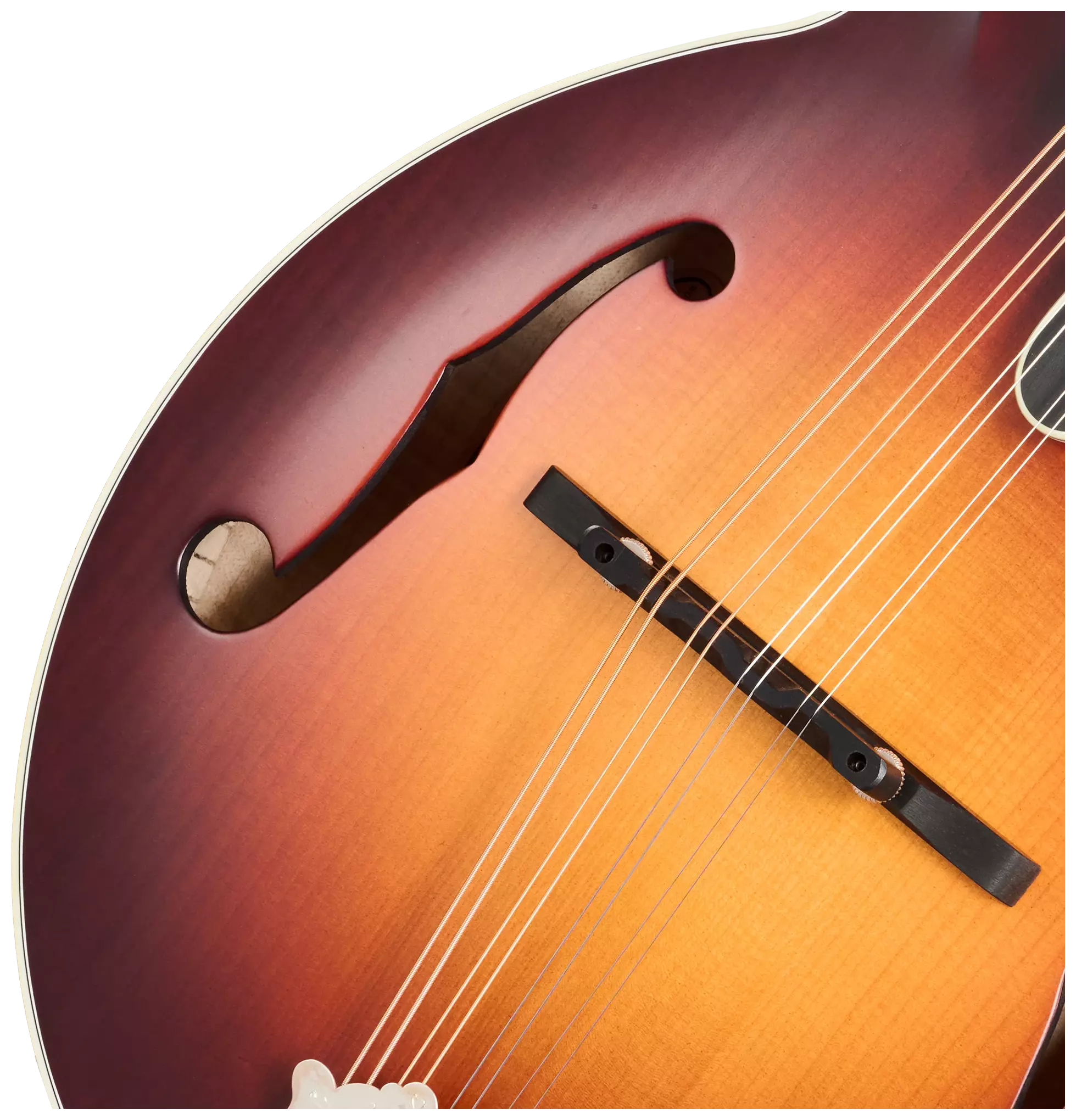 Gibson Custom Sierra Hull F-5 Master Model Mandoline Sierra Burst VOS Finish 7