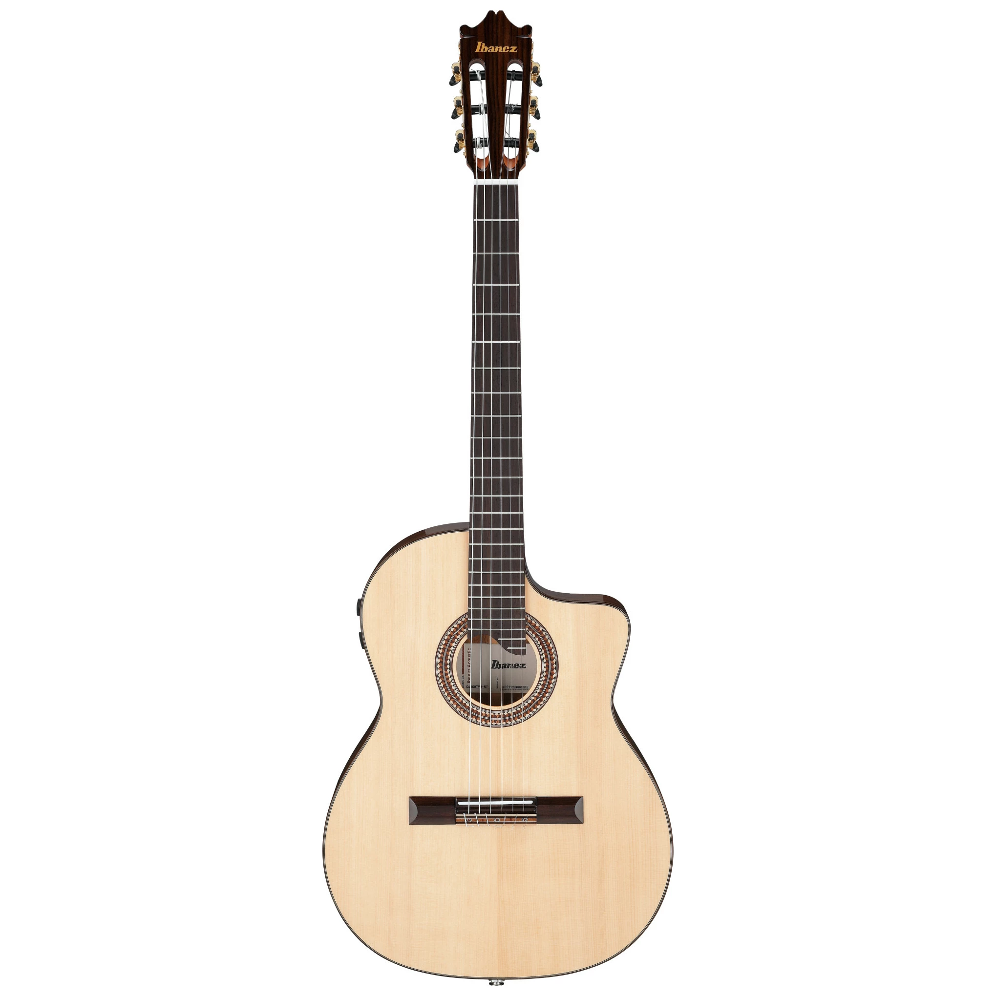 Ibanez GA360TCE-NT