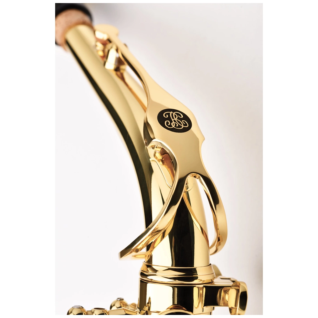 Buffet Crampon BC8301-1-0GB Prodige Alto Sax 1