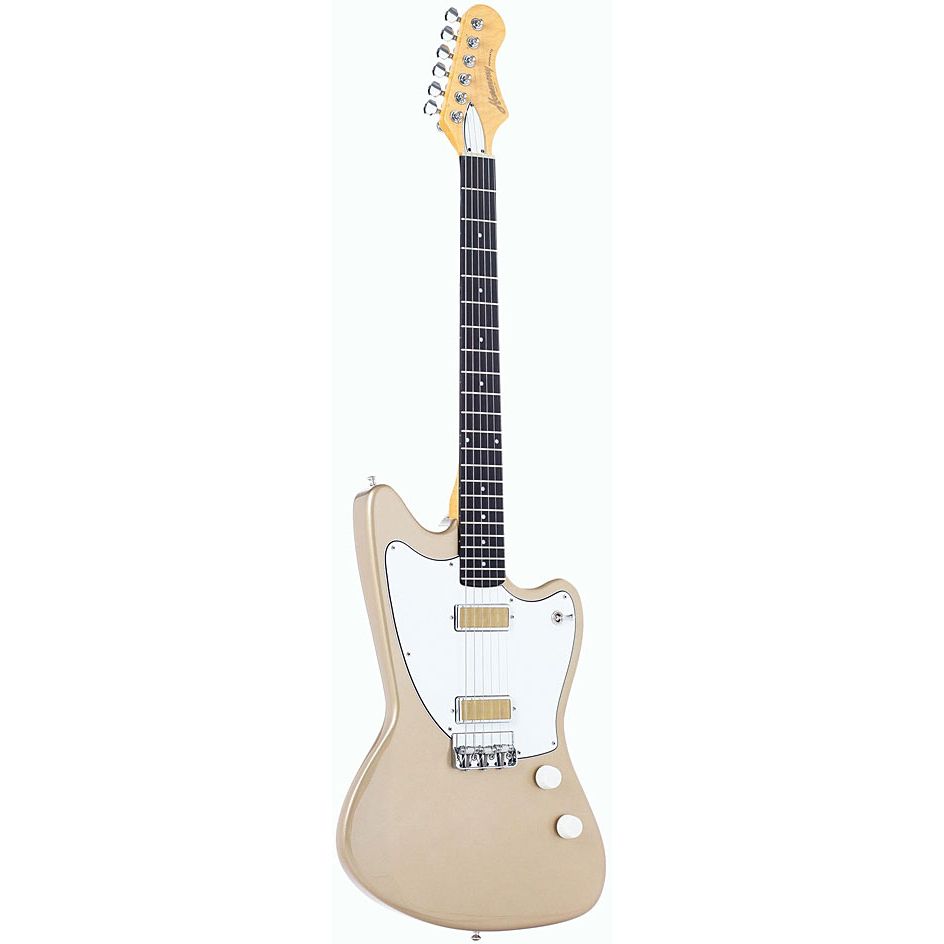  Standard Series Silhouette Champagne 2