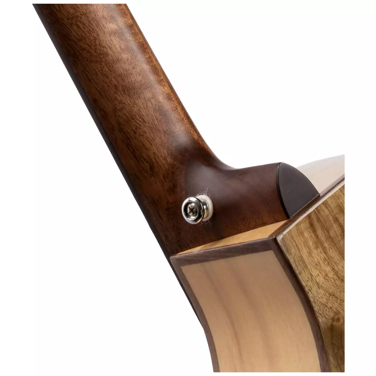 Cort SFX-Myrtlewood 8