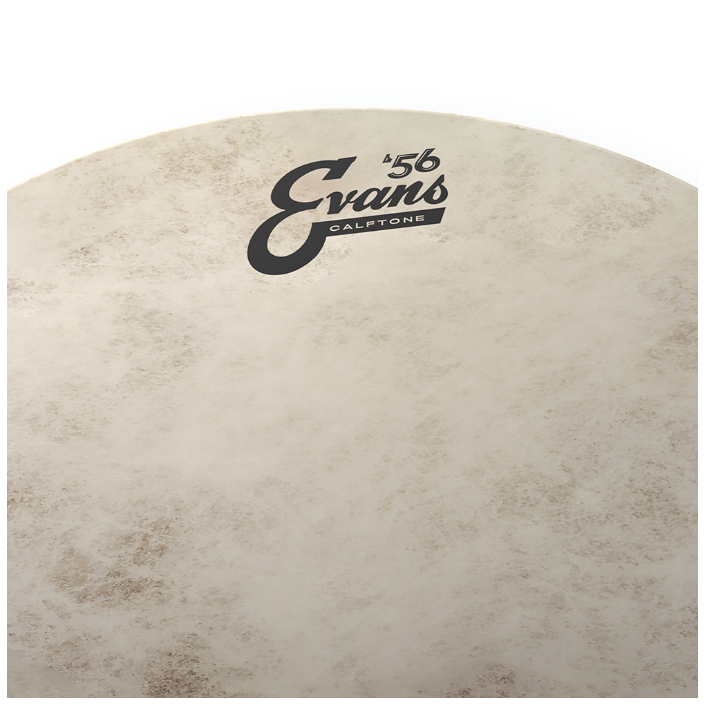 Evans TT10C7 - Calftone Tom Batter, 10 Zoll 1