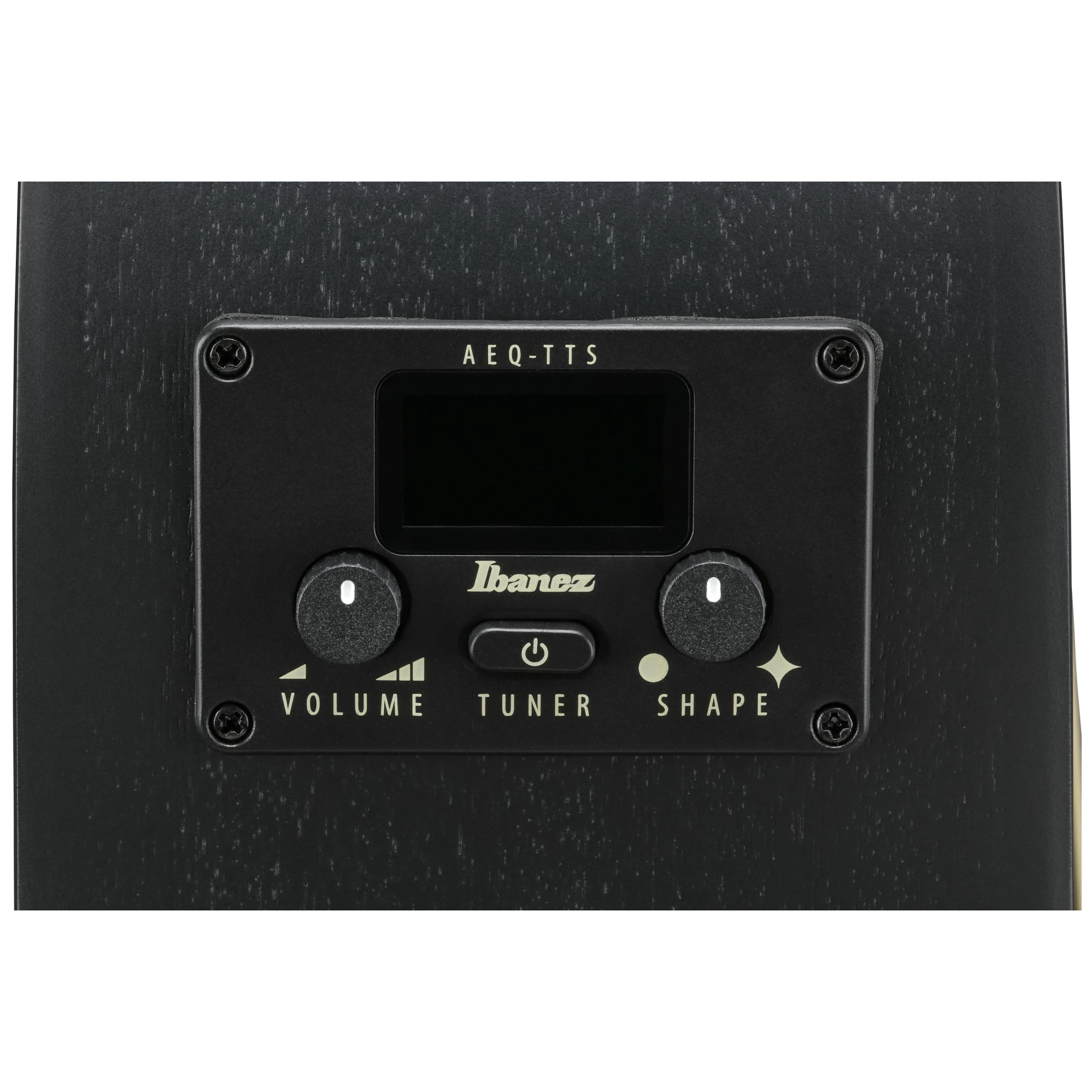 Ibanez AEG1221-BOT 3
