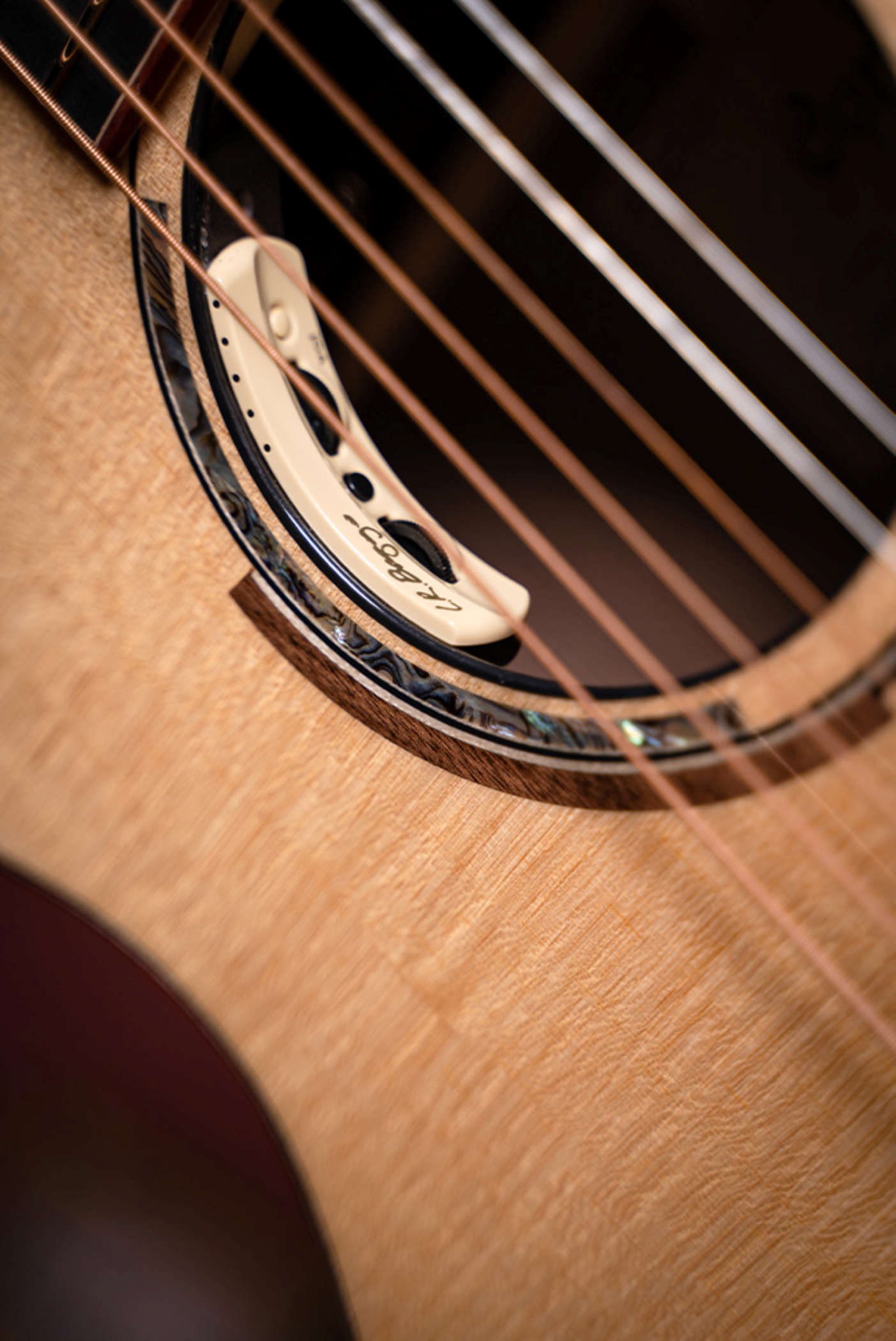 Image of Cort masterpiece acoustic electric abstract delta electronics close up