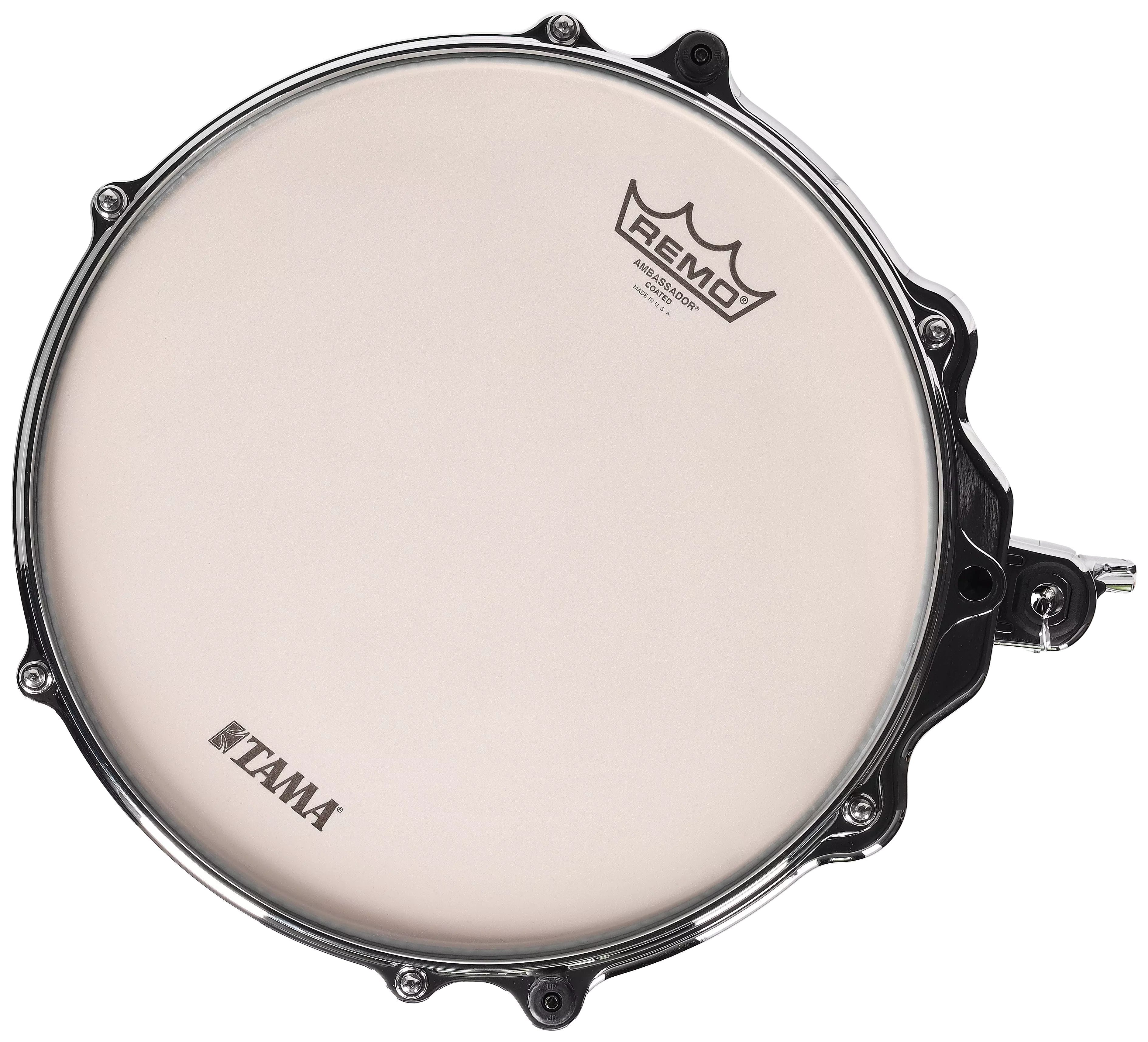 Tama TMT1208SR-OLC 12"x 8" TT - STAR Maple Ocean Blue Curly Maple, Chrome HW 5