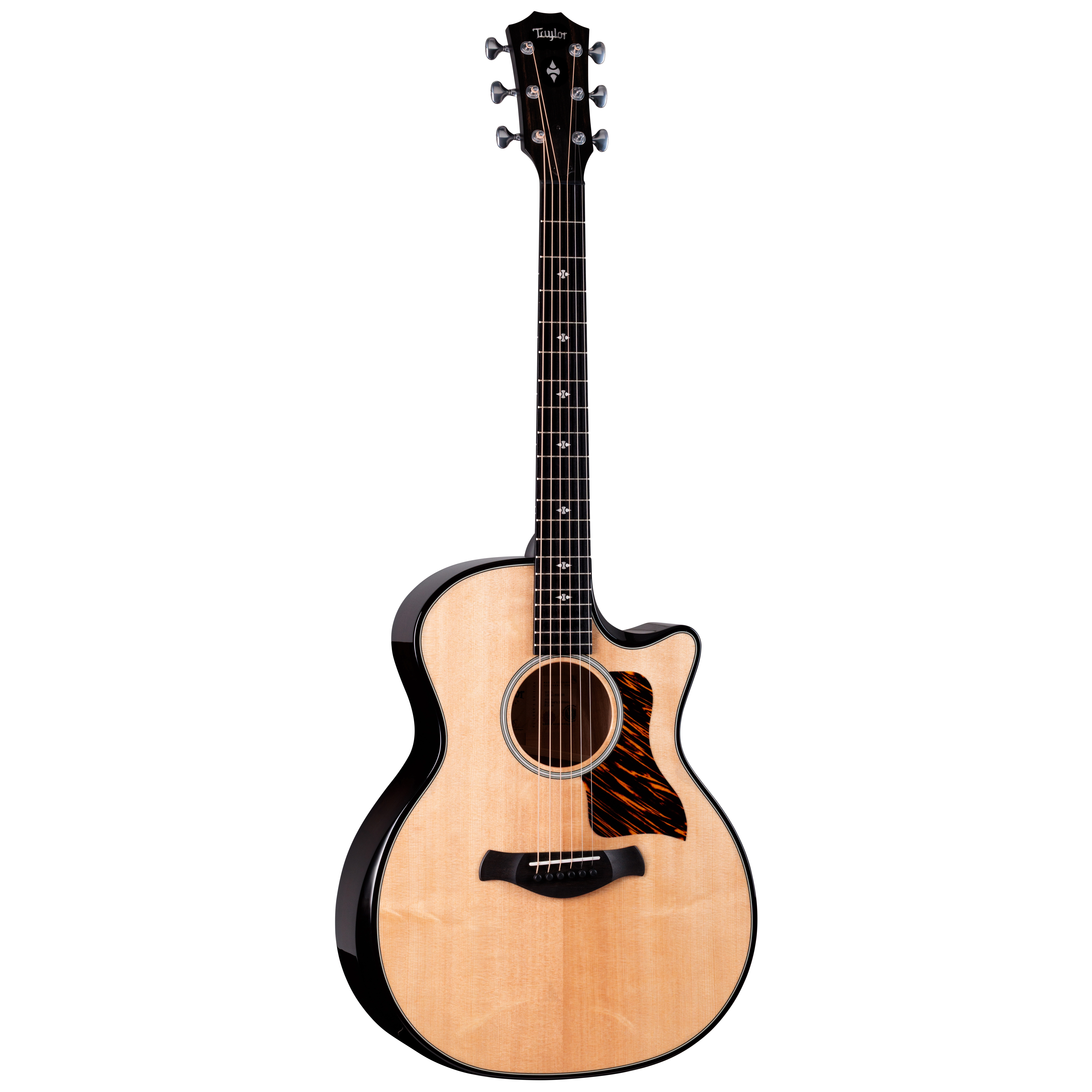 Taylor Builder's Edition 514ce Natural Next Generation