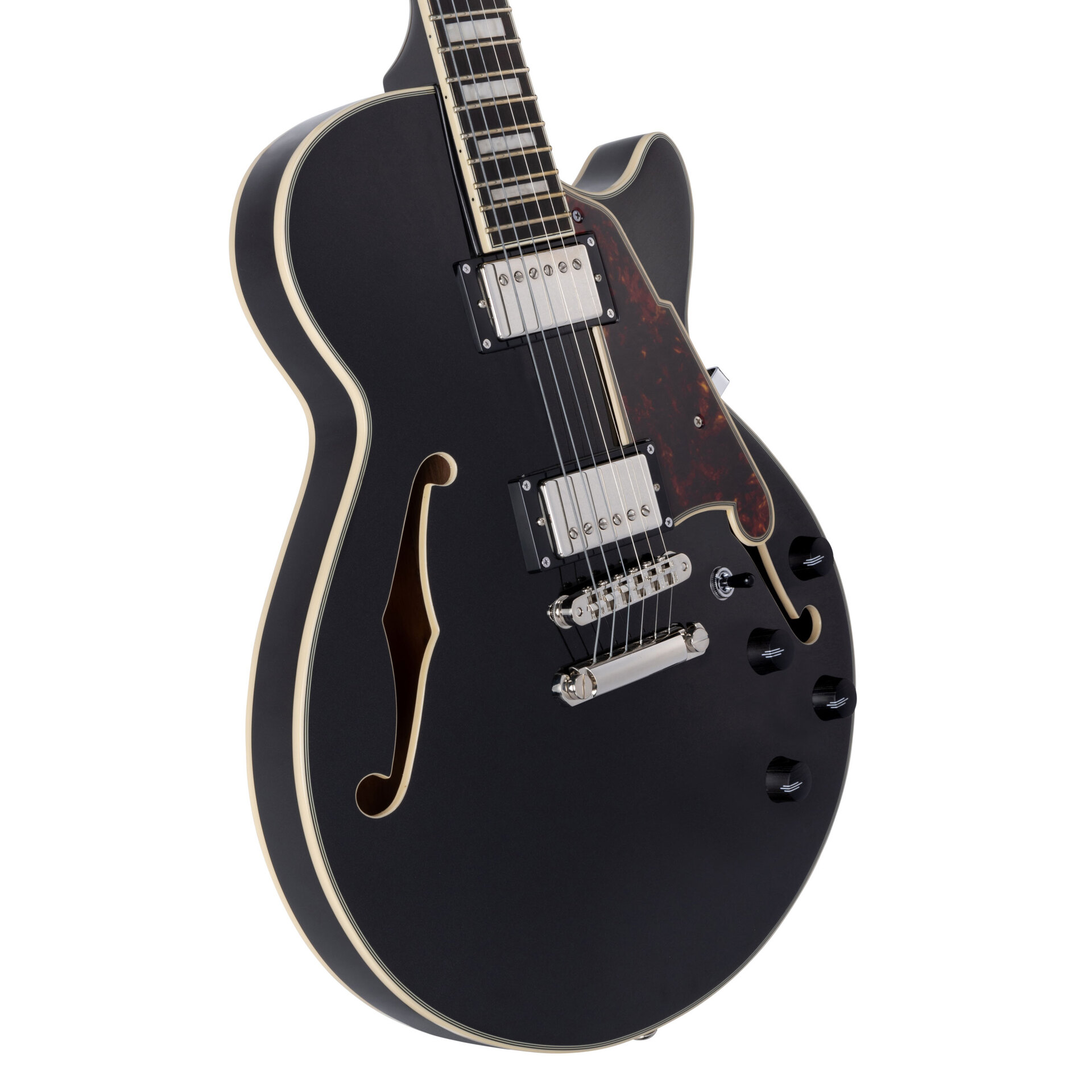 D’Angelico Guitars Premier SS Black Flake 5