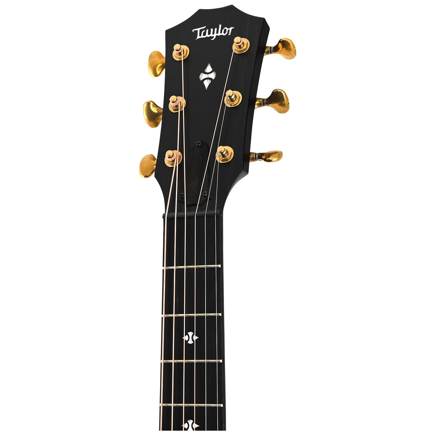 Taylor - Taylor Builder s Edition 324ce - 10
