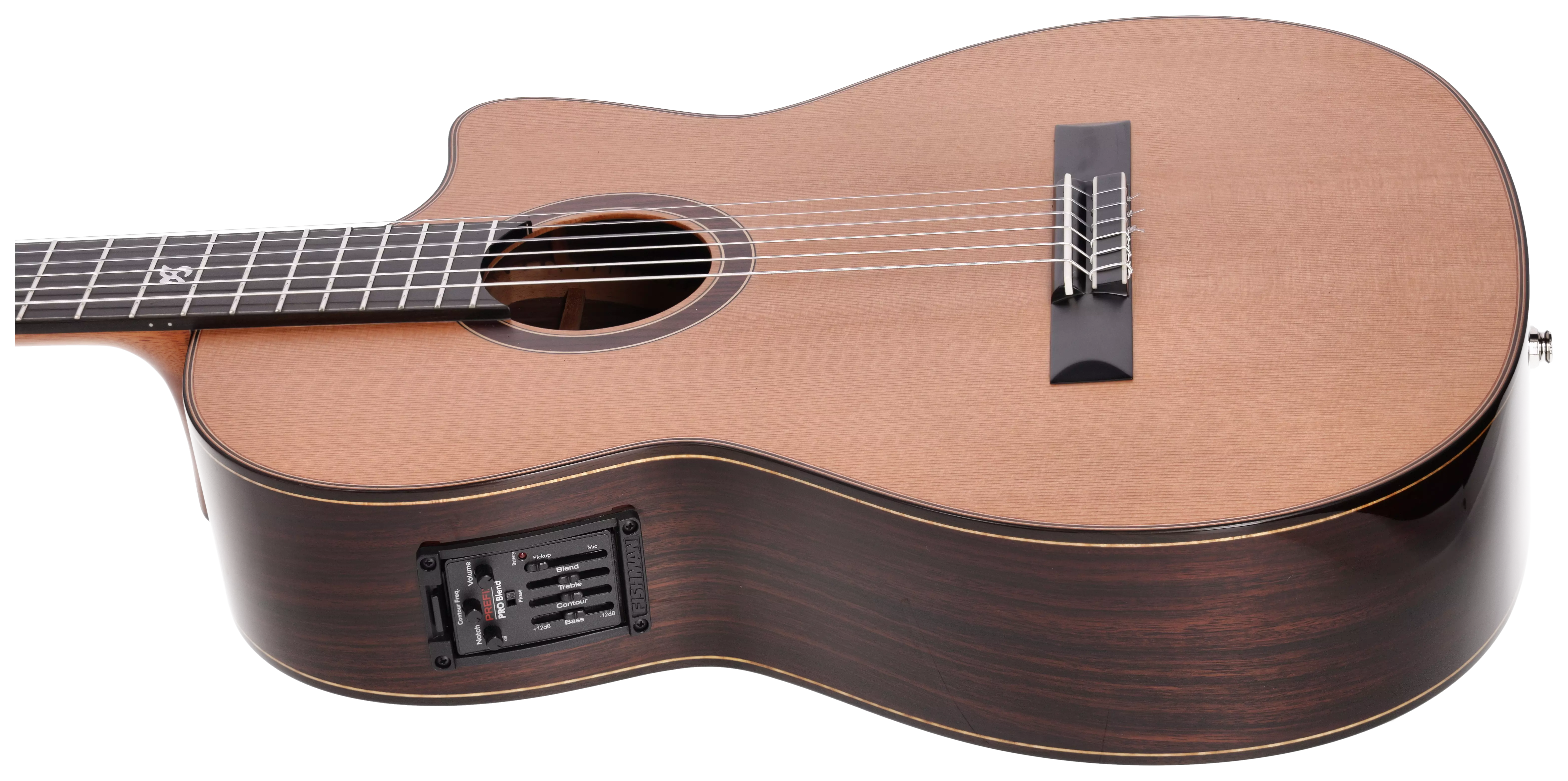 Duke Guitars Crossover PCE Signature Julie Malia aka Jule Malischke 5