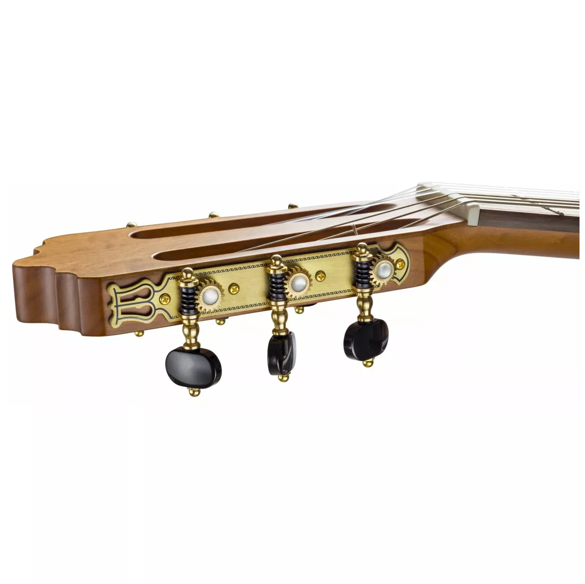 La Mancha Aliso macizo 4