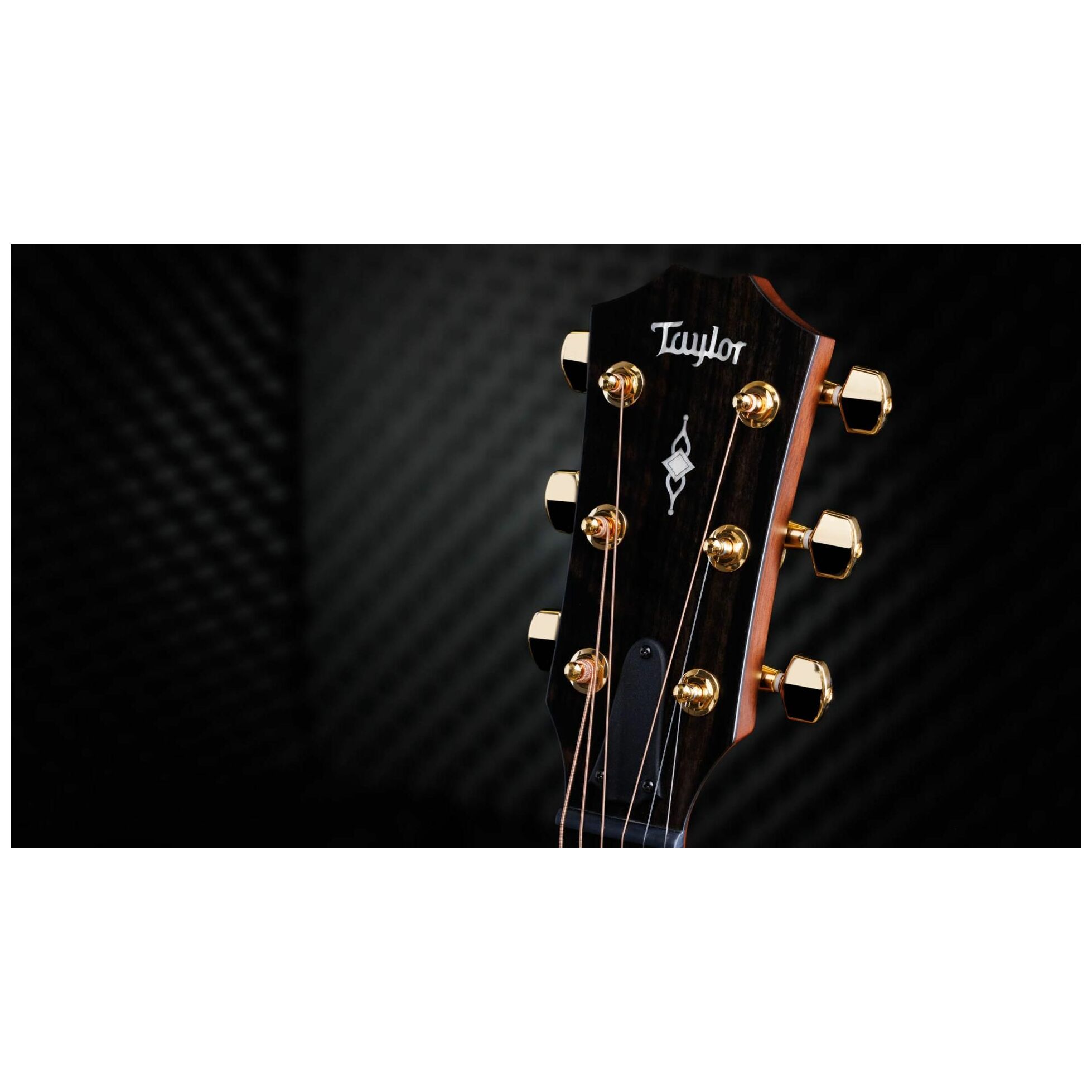 Taylor 314ce 50th Anniversary 7