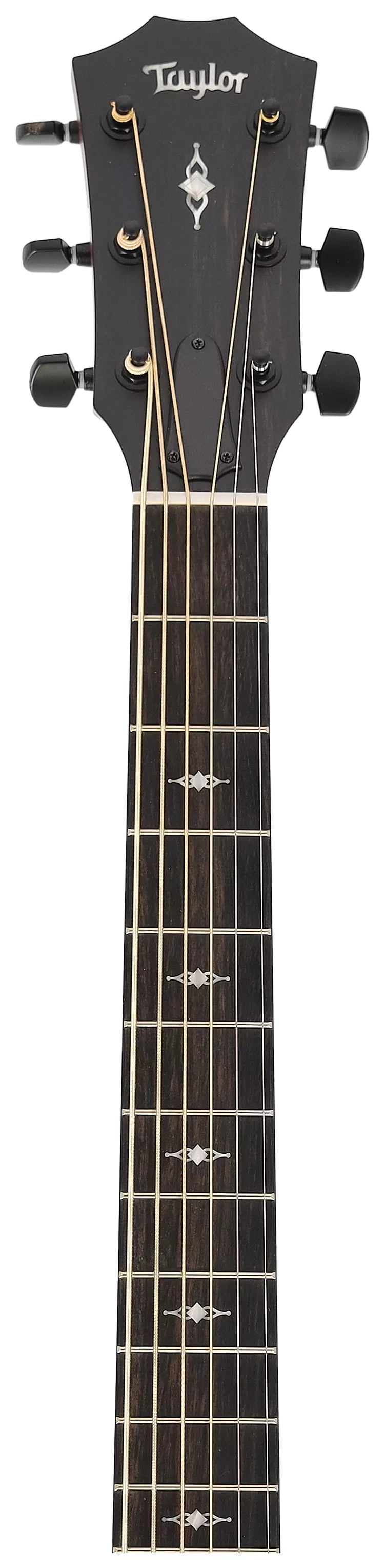 Taylor 324ce Baritone-6 LTD 11