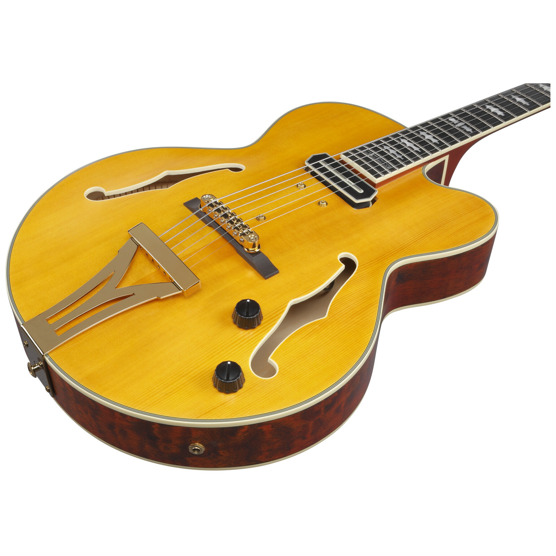 Ibanez PM3C-NAL Pat Metheny Signature 3