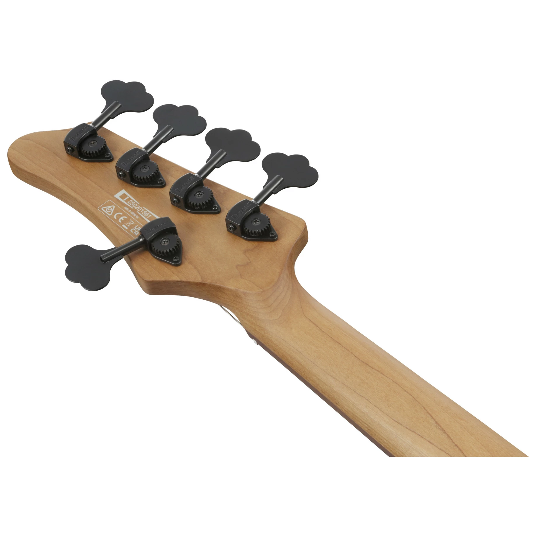 Ibanez MDM1605-DTW 6