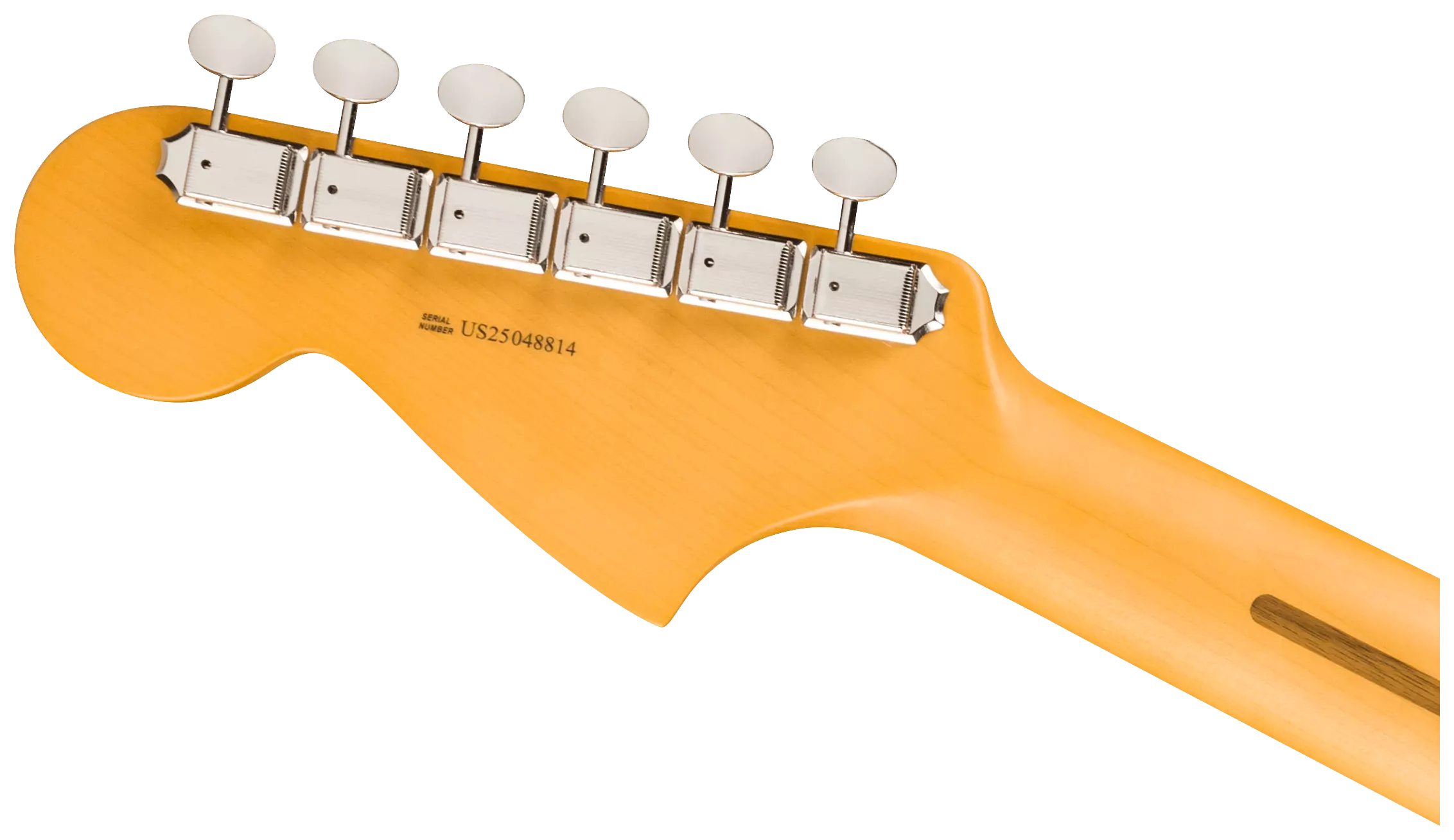 Fender American Pro Classic Jaguar MN FLPB 3