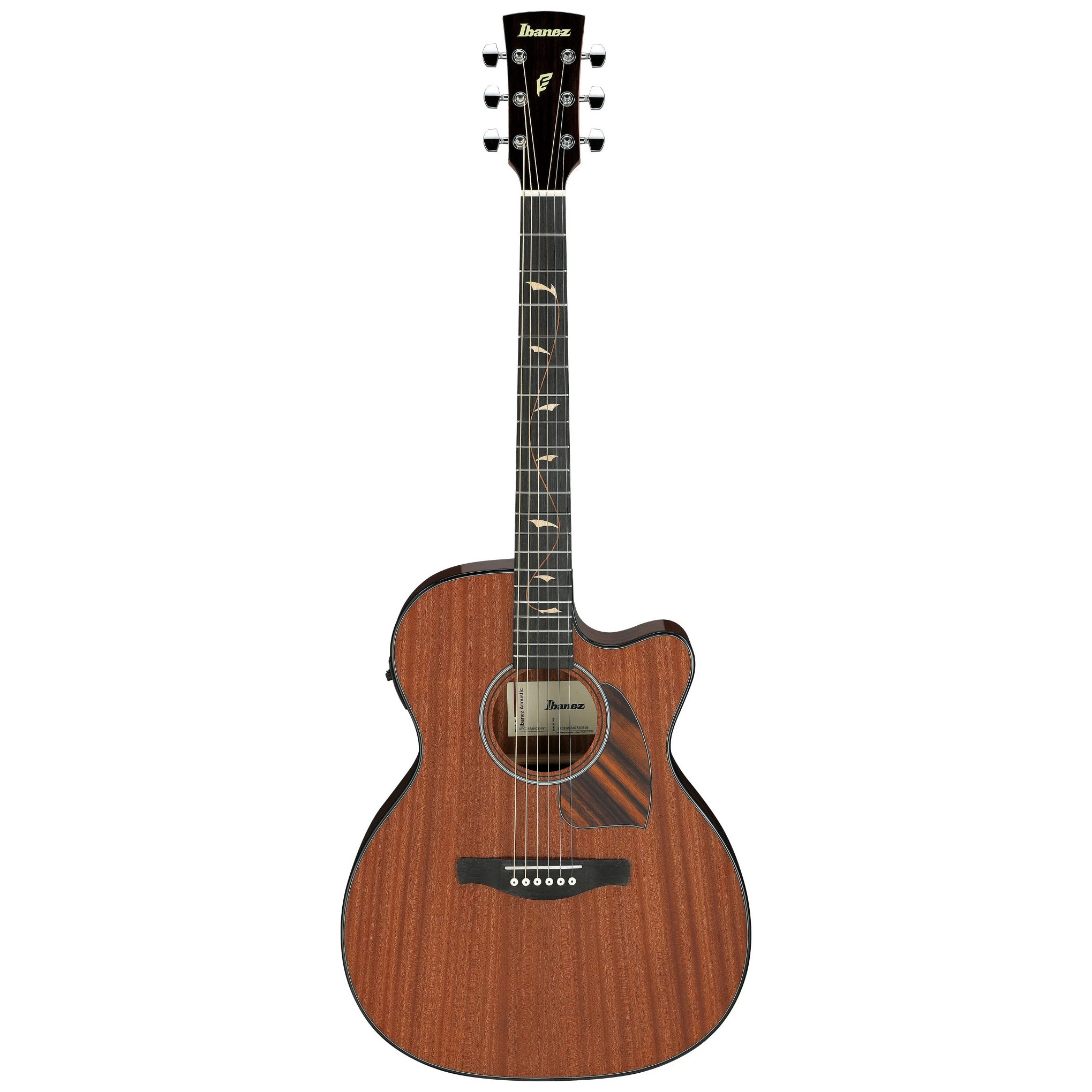 Ibanez PC34MHCE-NT