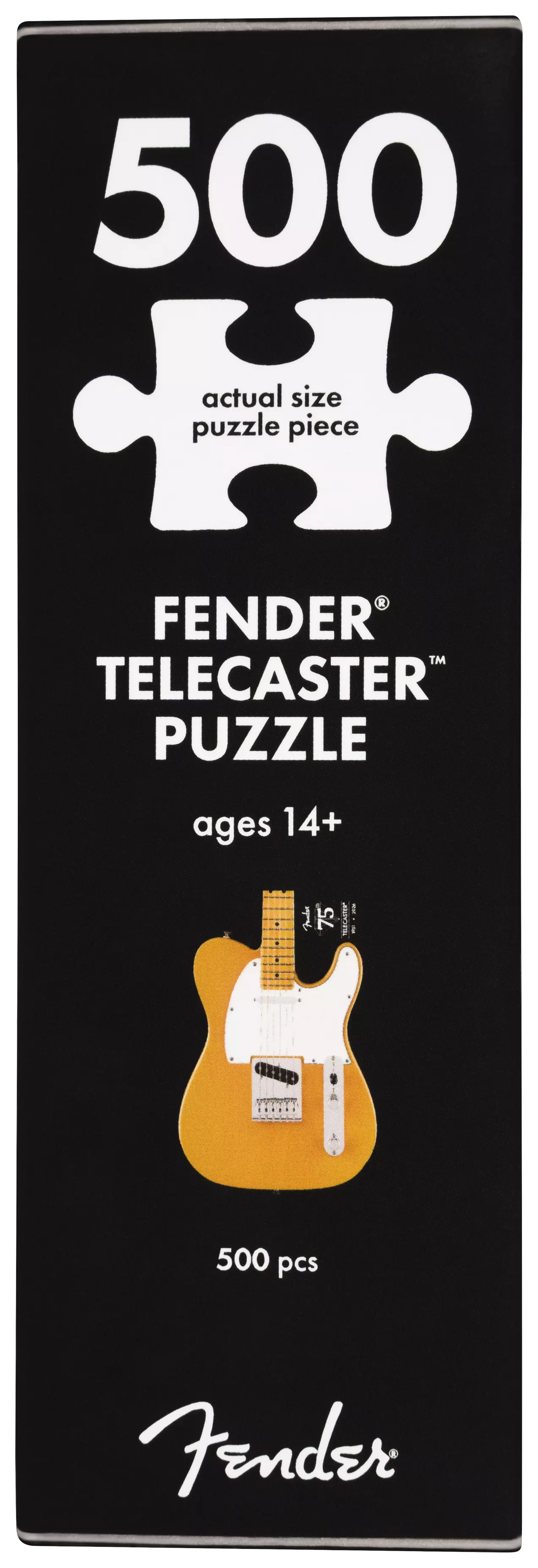 Fender Telecaster Puzzle 5