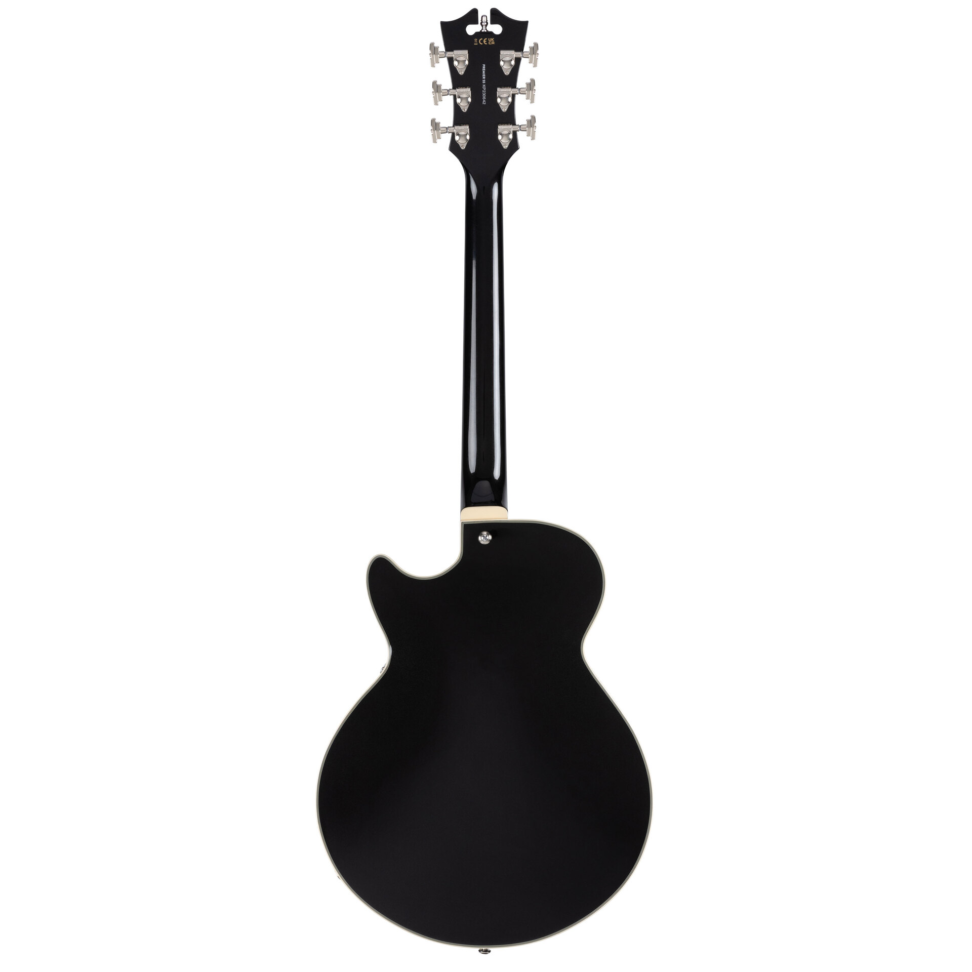 D’Angelico Guitars Premier SS Black Flake 1