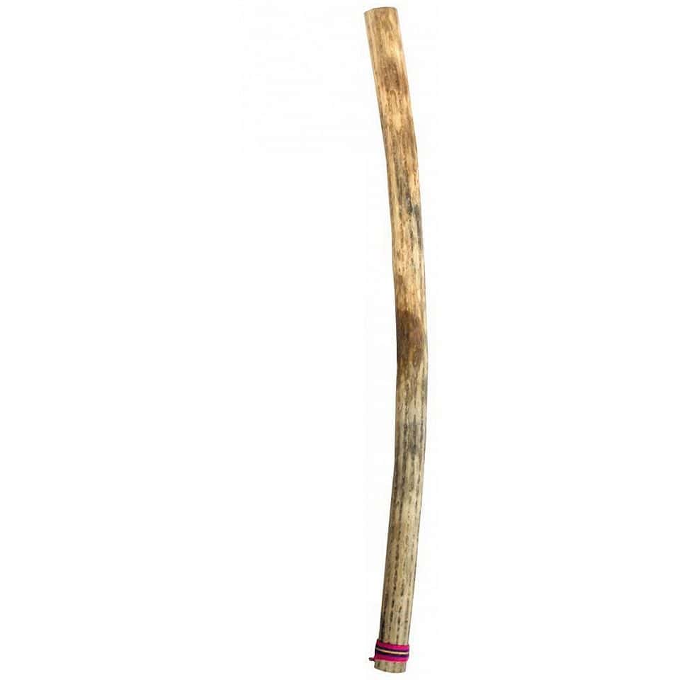  X-Large Kaktus Rainmaker Thin 100 cm