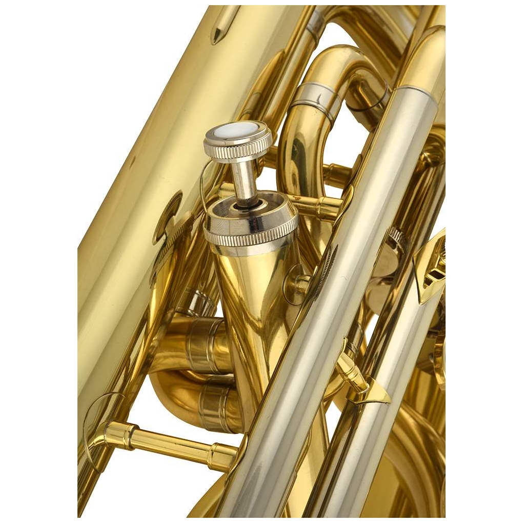 Chicago Winds - Chicago Winds CC-EP6100L Euphonium - 4