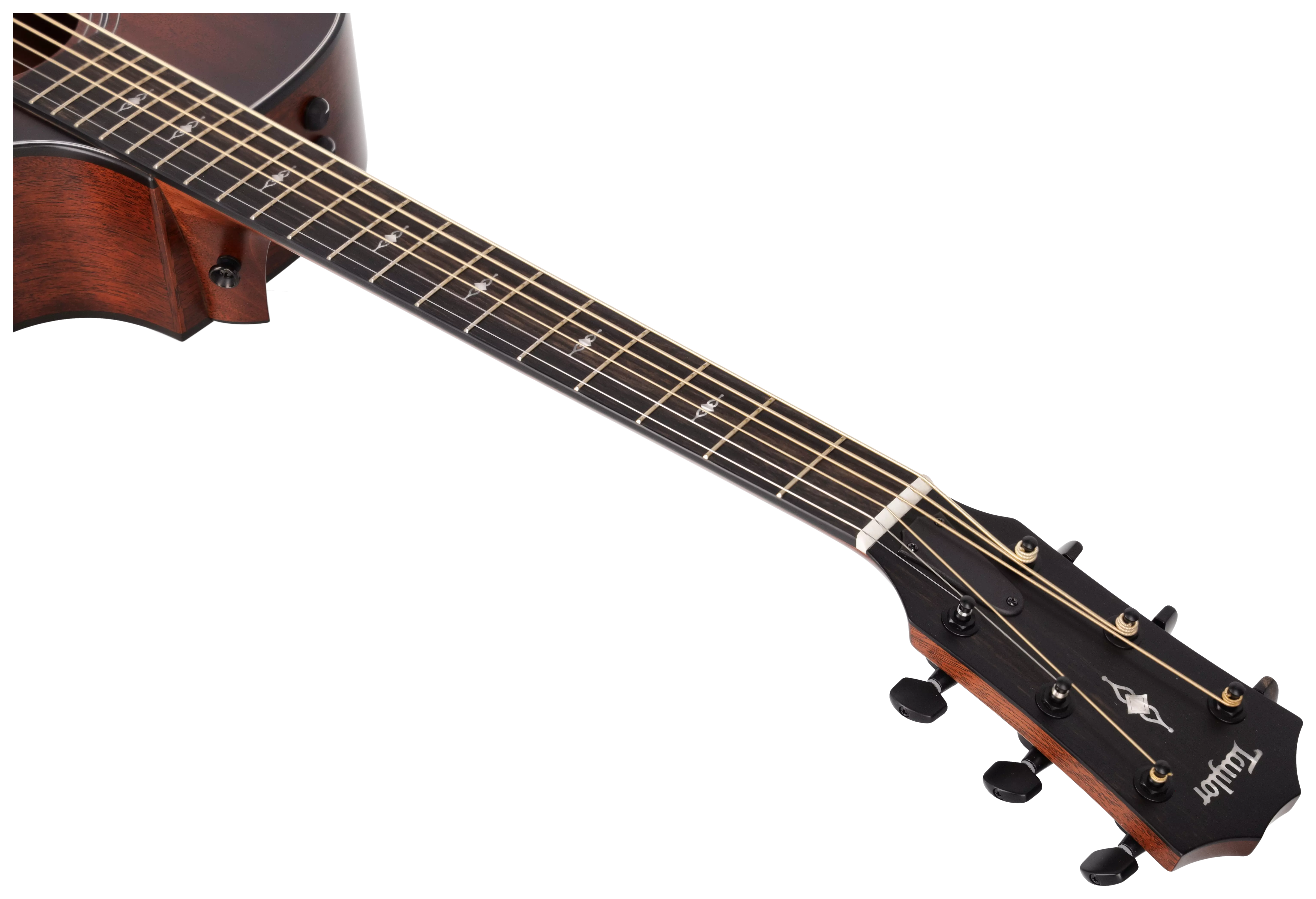 Taylor 324ce Baritone-6 LTD 13