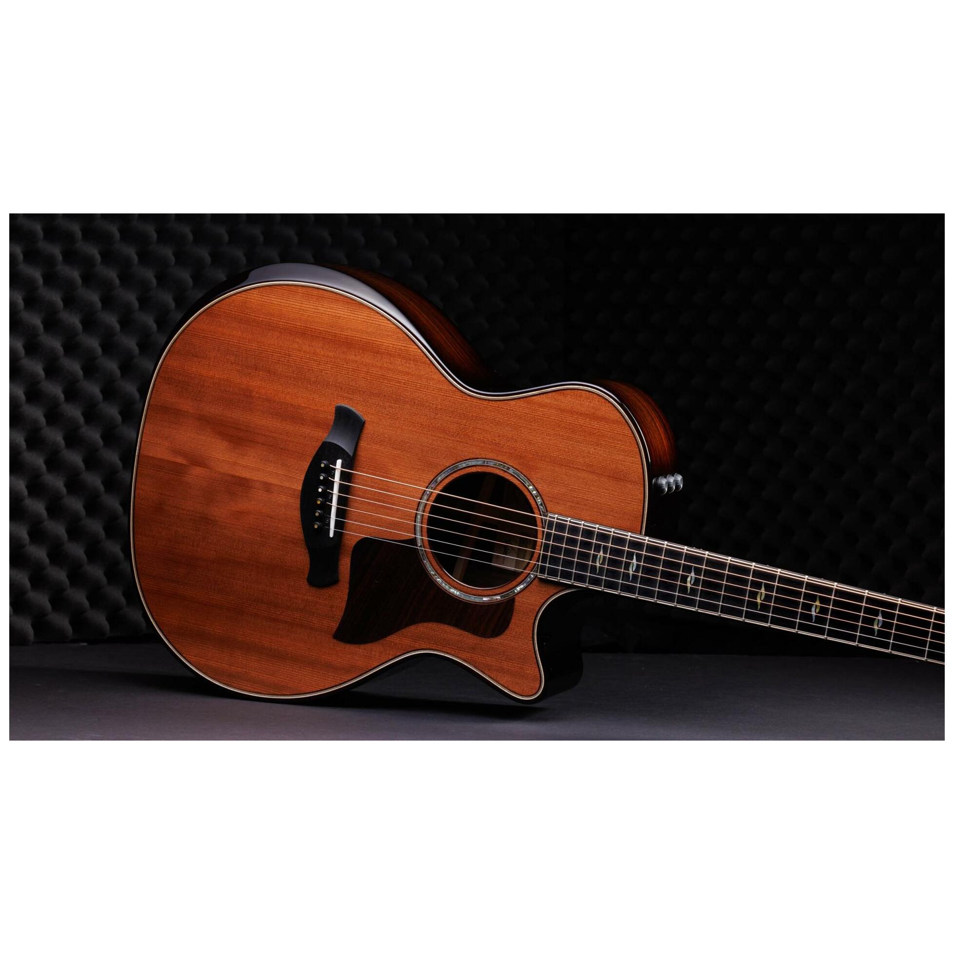 Taylor Builder's Edition 814ce 50th Anniversary 3