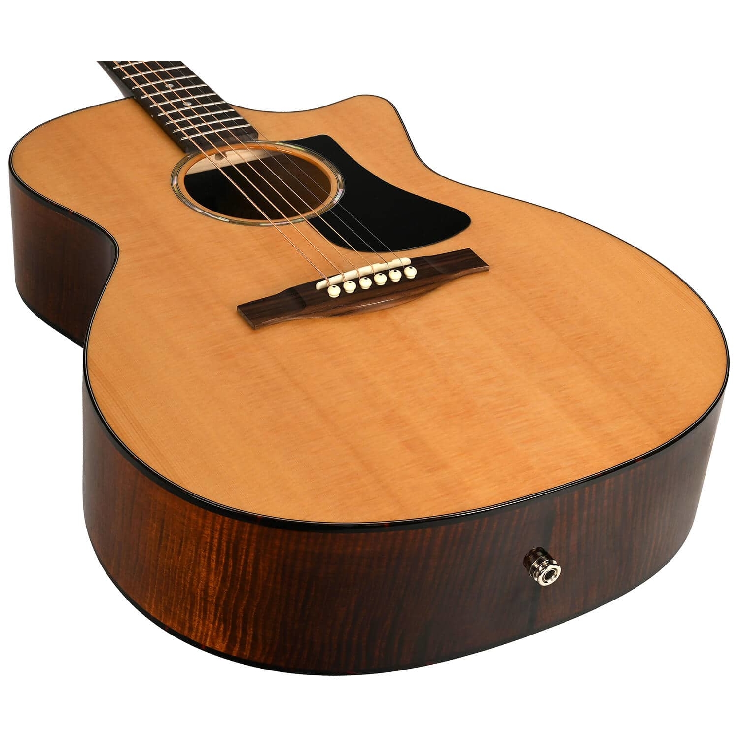 Eastman - Eastman PCH3-GAce-CLA - 4